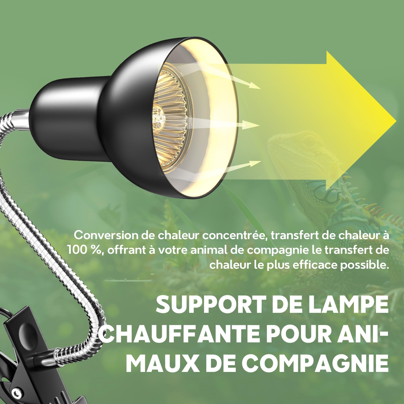 Schwarze Lampe mit flexiblem Hals, gerichtet auf einen grünen Hintergrund mit einem Leguan und Text über Wärme.
