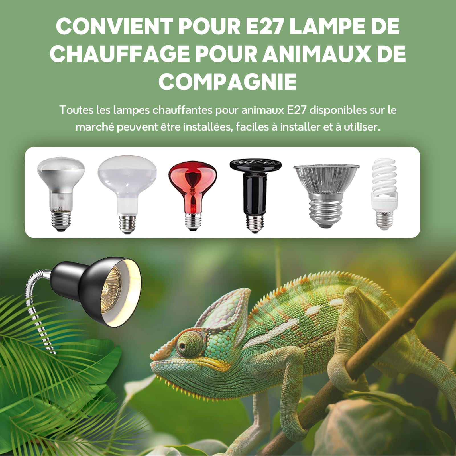 Chamäleon auf Ast mit Lampen und E27-Birnen. Text auf Französisch über Haustierlampen.
