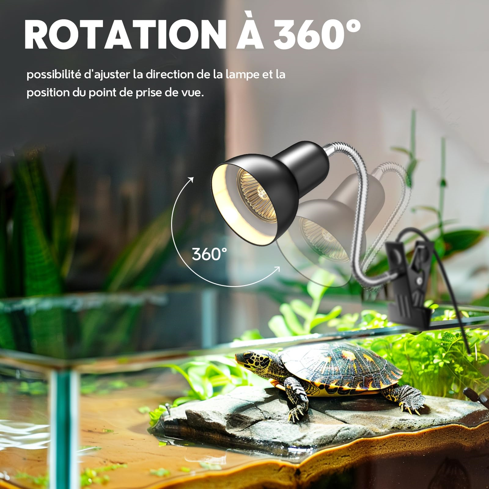 Eine Lampe über einem Terrarium mit Schildkröte, 360-Grad-Drehungssymbol.