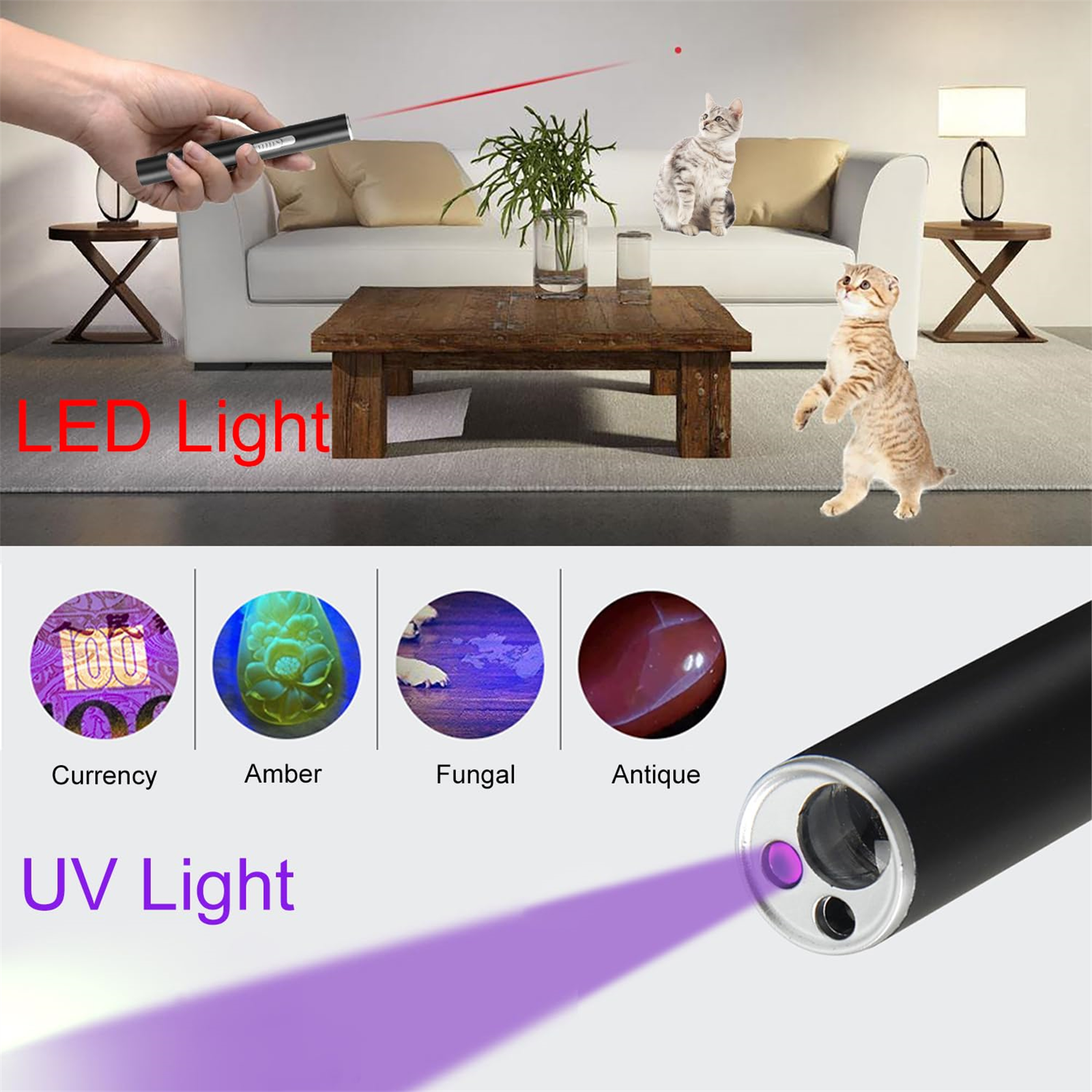 Laserpointer-Szene mit Katzen, Pflanzen und Objekten, mit Währung, Bernstein, Pilz und Antiquität.