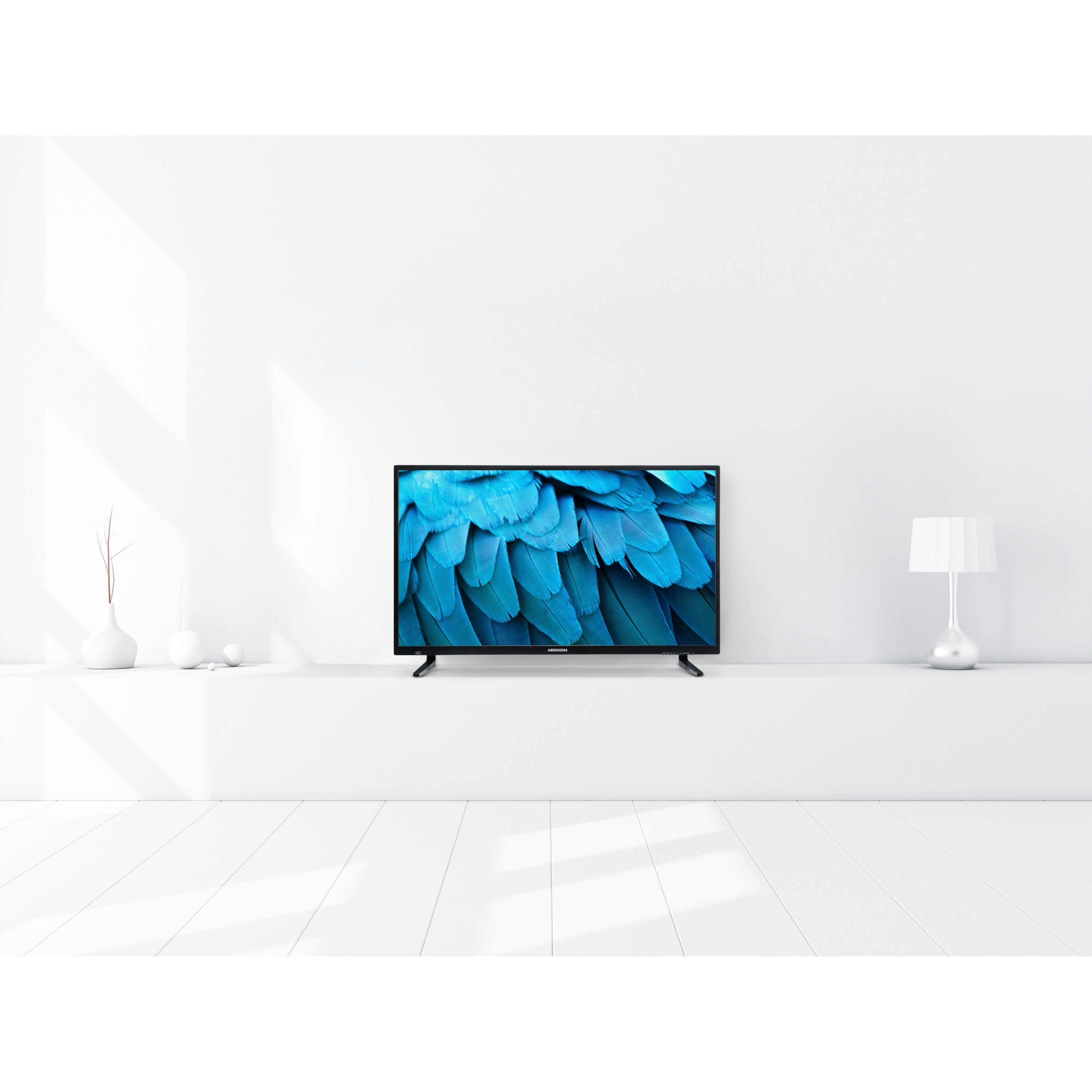 Fernseher mit einem blauen, federartigen Bild, vor einer weißen Wand. Weißer Boden und Dekoration.