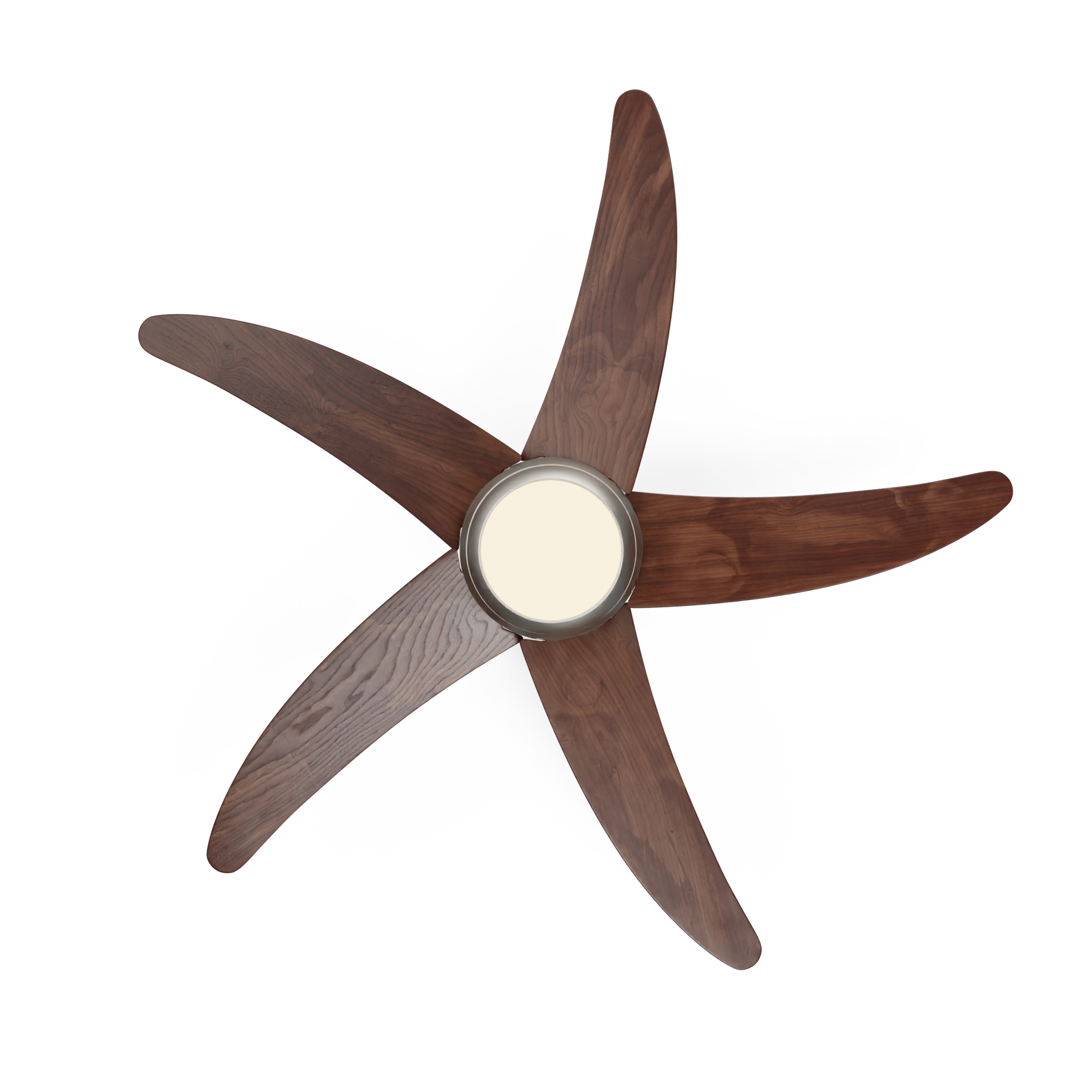 Ventilatore da soffitto con luce. Cinque pale in legno scuro, base argentata e luce. Vista dall'alto.