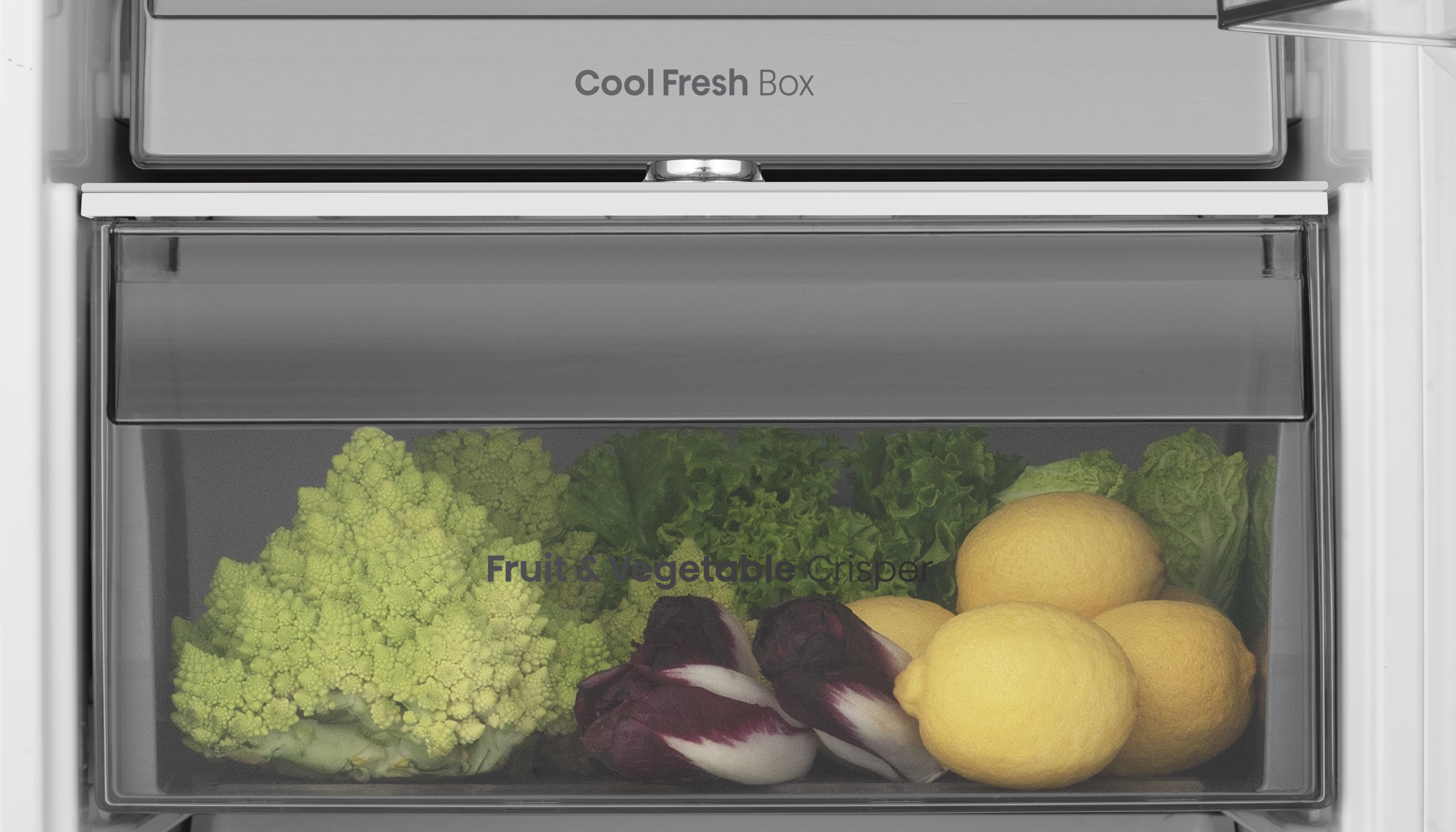 Zbliżenie na szufladę lodówki wypełnioną warzywami i cytrynami. Szuflada jest oznaczona.