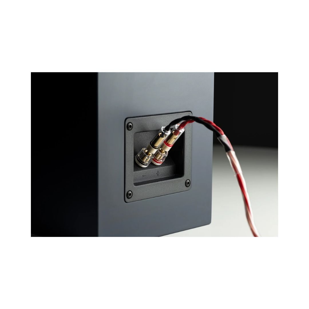 Haut-parleur noir montrant l'arrière avec des connexions filaires pour l'entrée audio.