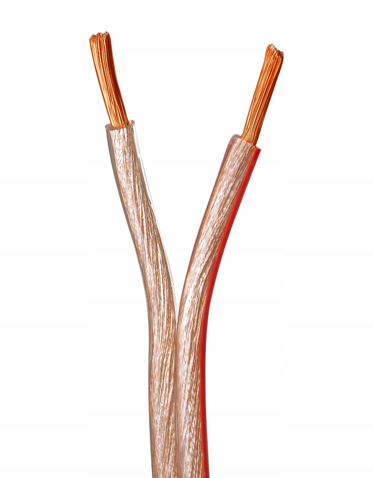 Dwa miedziane przewody głośnikowe, rozdzielone, na białym tle.