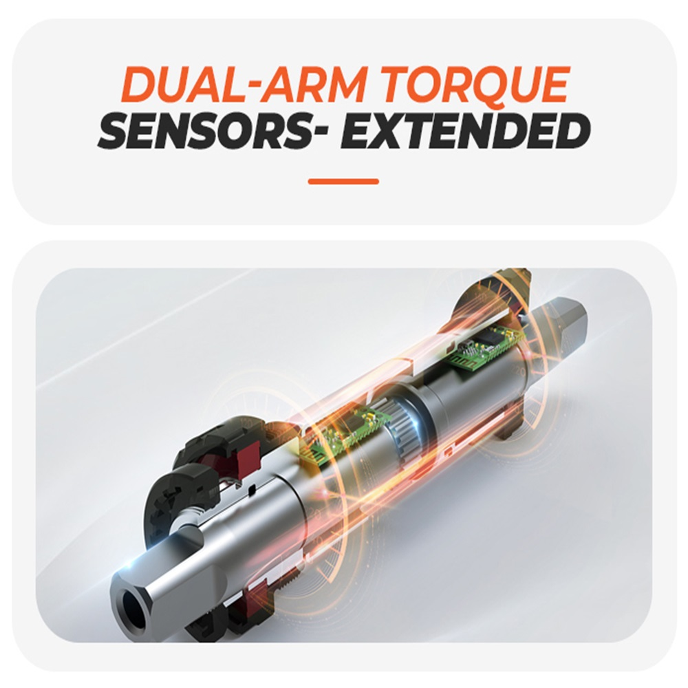 Schnittansicht eines Dual-Arm-Drehmomentsensors, der seine internen Komponenten und Struktur hervorhebt.