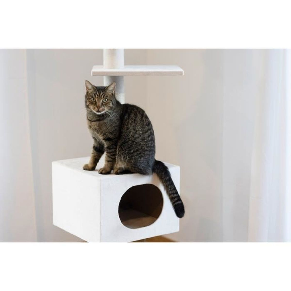 Eine Katze sitzt auf einem weißen Kratzbaum. Die Katze ist grau mit dunklen Streifen. Weißer Hintergrund.