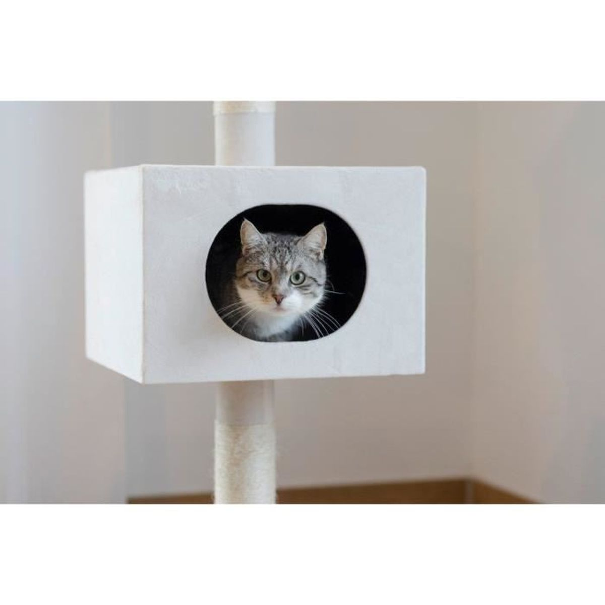 Eine getigerte Katze blickt aus einem weißen Katzenhaus hervor, das an einem Pfosten befestigt ist.