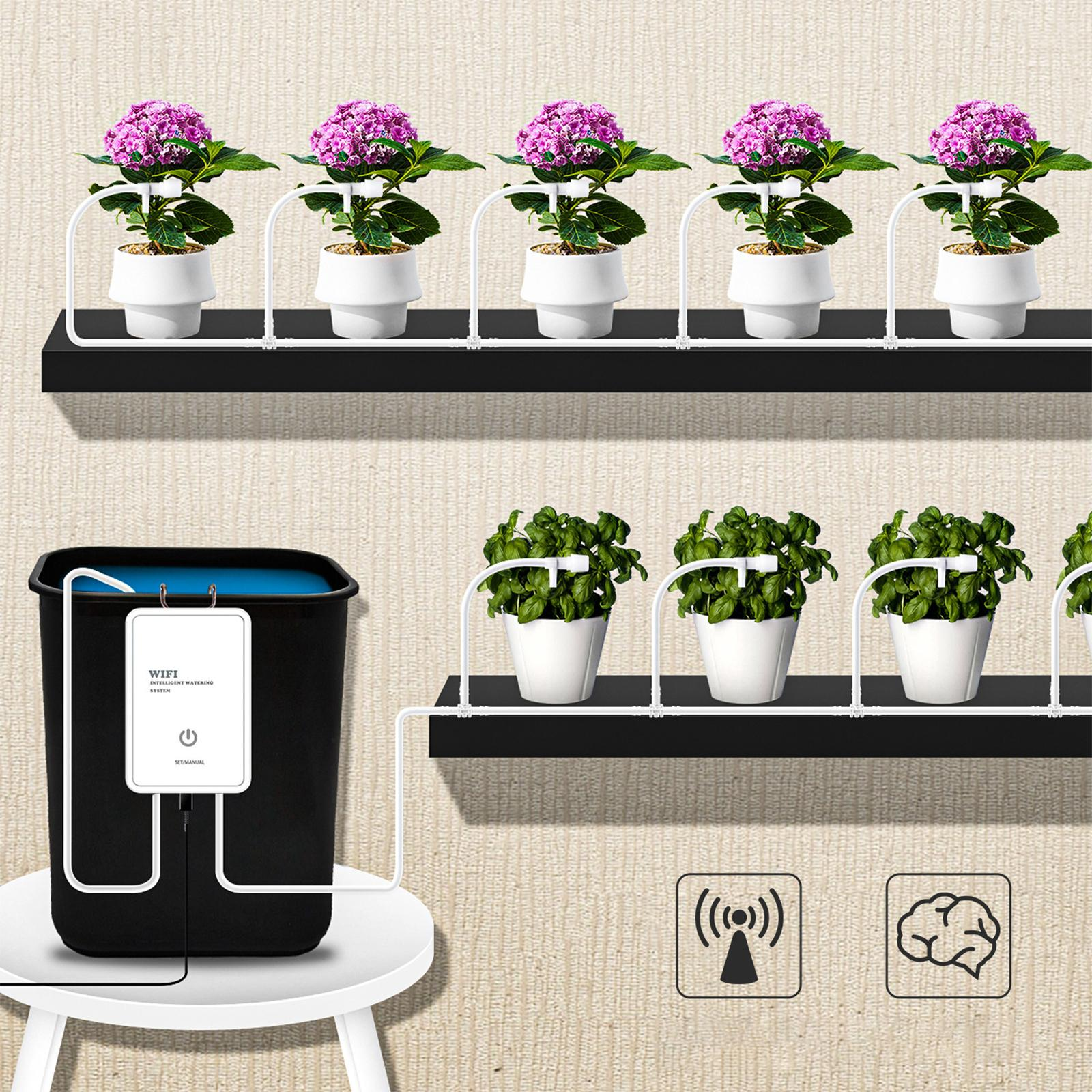 Smartes Garten-Setup mit sechs Topfpflanzen auf Regalen, schwarzem Wassertank und WLAN-Bedienfeld.