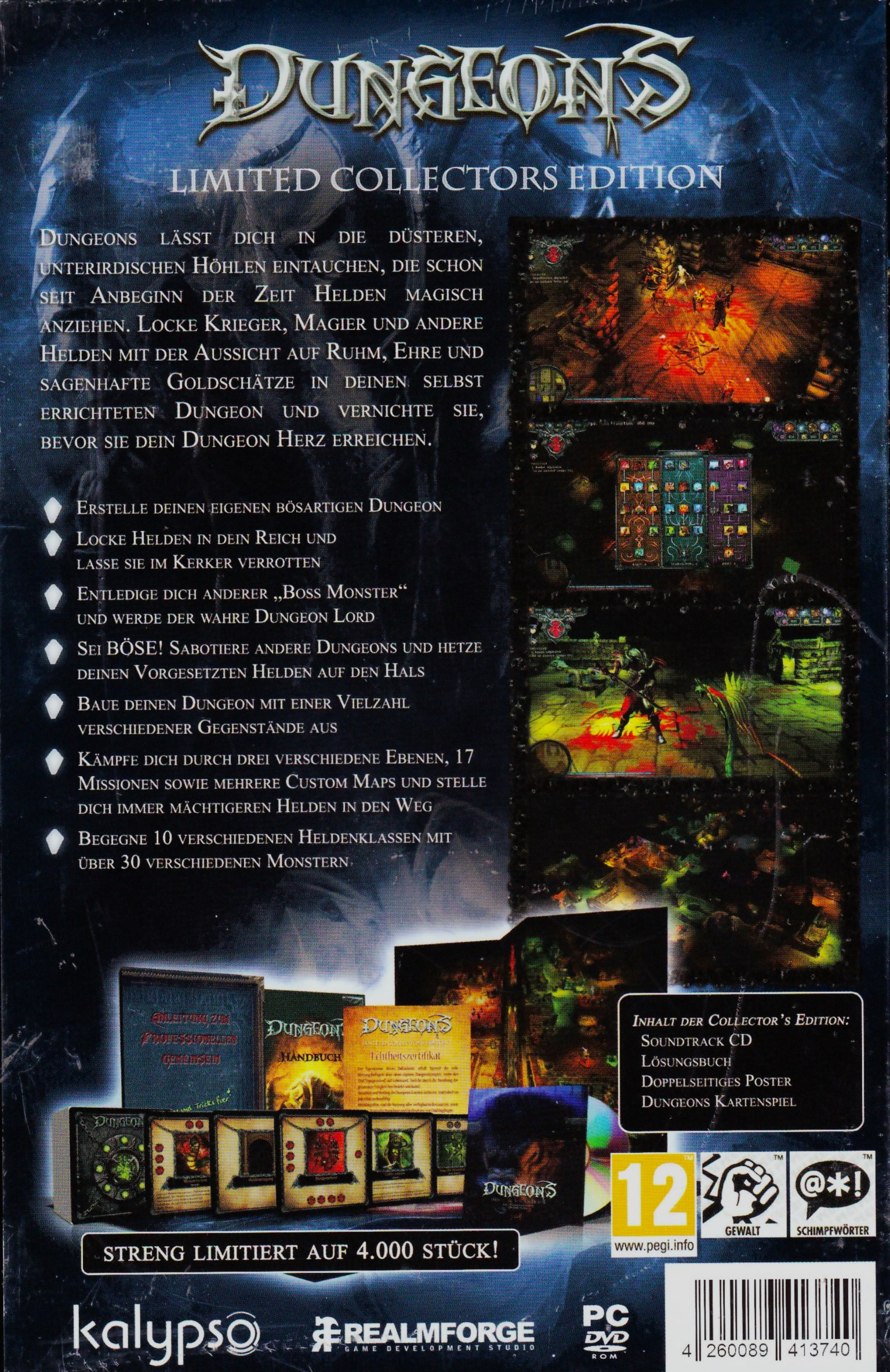 Rückseite einer Dungeons-Spielbox. Text und Spiel-Screenshots sind sichtbar.