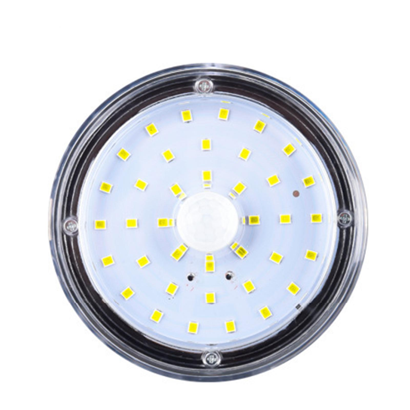 Runde LED-Leuchte mit vielen kleinen gelben Lichtern. Umgeben von einem schwarzen kreisförmigen Rahmen. Weißer Hintergrund.