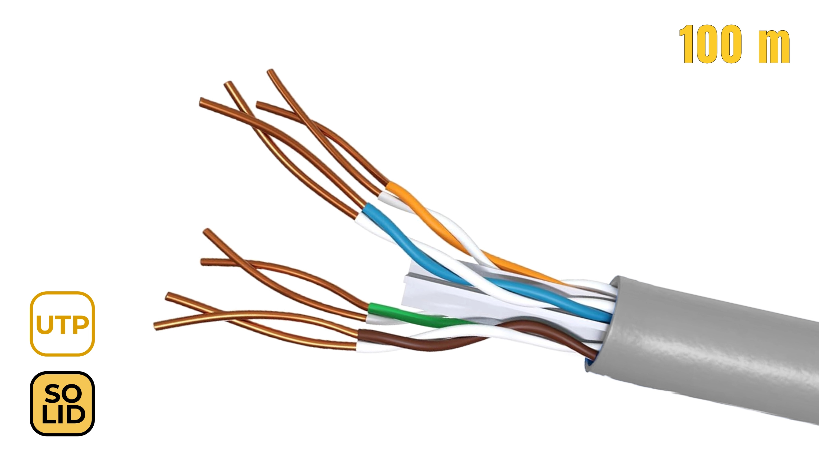 Cavo Ethernet tagliato con fili esposti. I fili sono di colori diversi. Etichette UTP e SOLID.