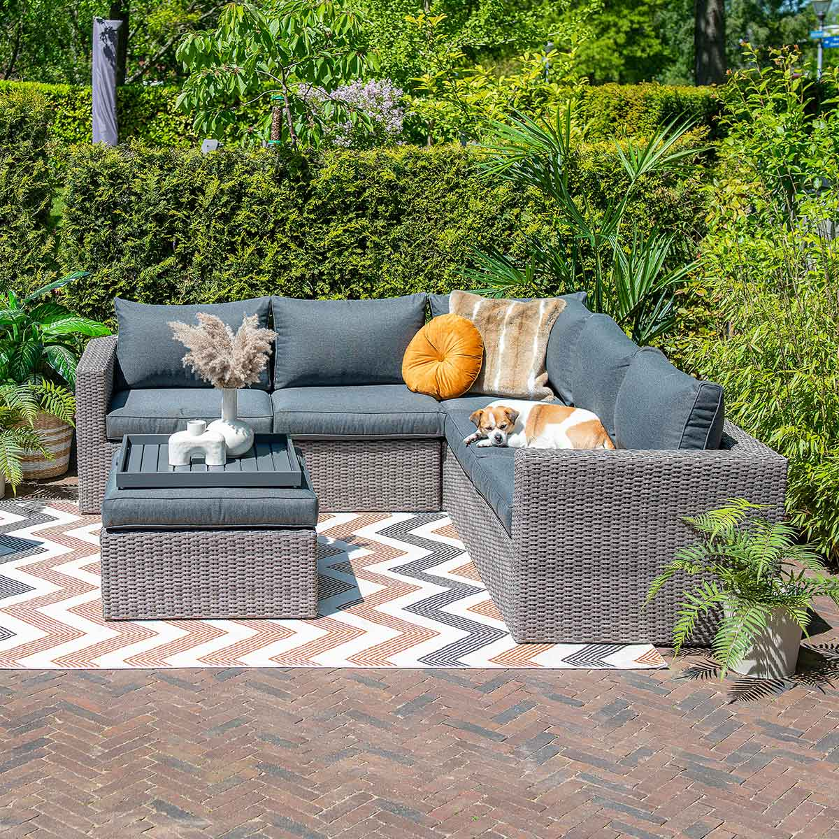 Een rotan bank, een hond en planten op een terras. Kussens en een dienblad op de bank.