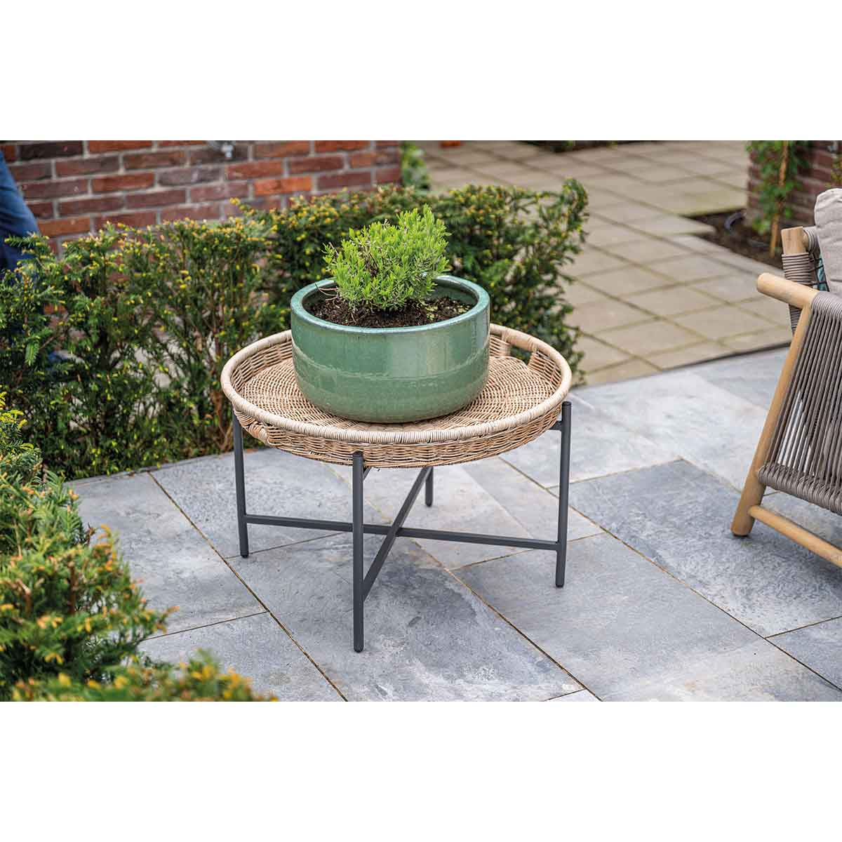 Table basse en osier avec plante en pot. Cadre métallique, en extérieur.