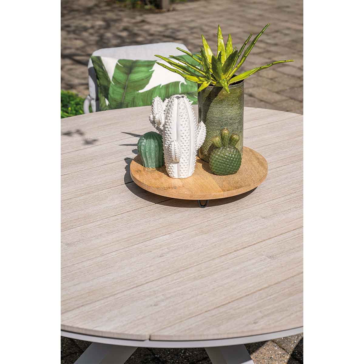 Wooden table with cacti and plant decor. Background shows a chair and greenery.