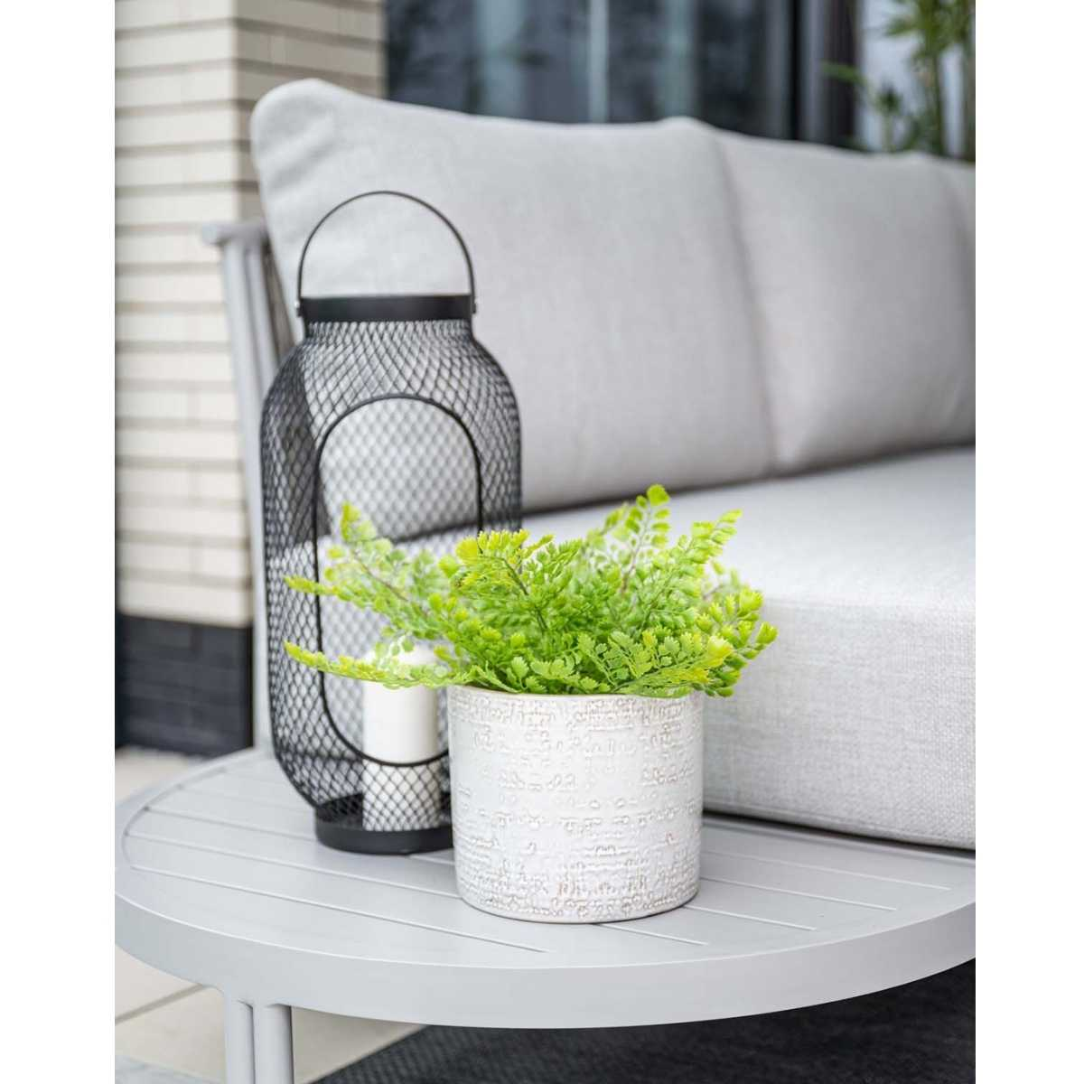Table with a plant and lantern. The scene is a sunny outdoor setting.