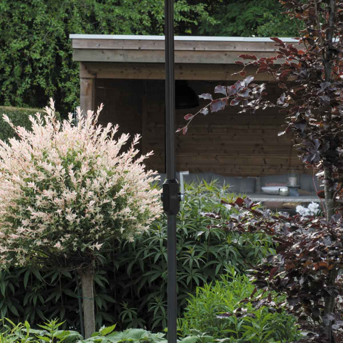 Garden scene with a bush, tree, and a wooden structure in the background.