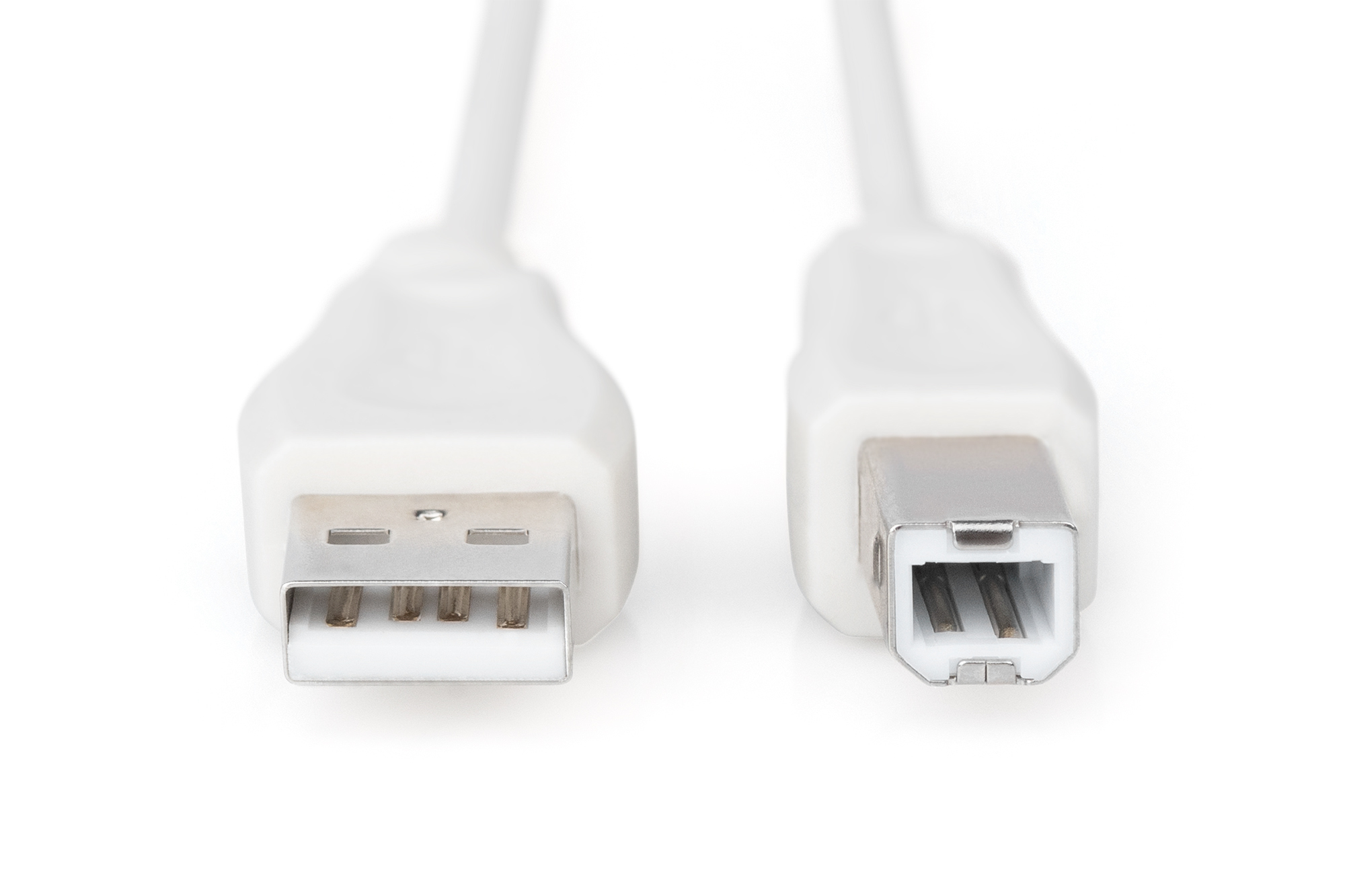 Her iki ucunda USB konnektörleri olan beyaz USB kablosu, beyaz arka planda.