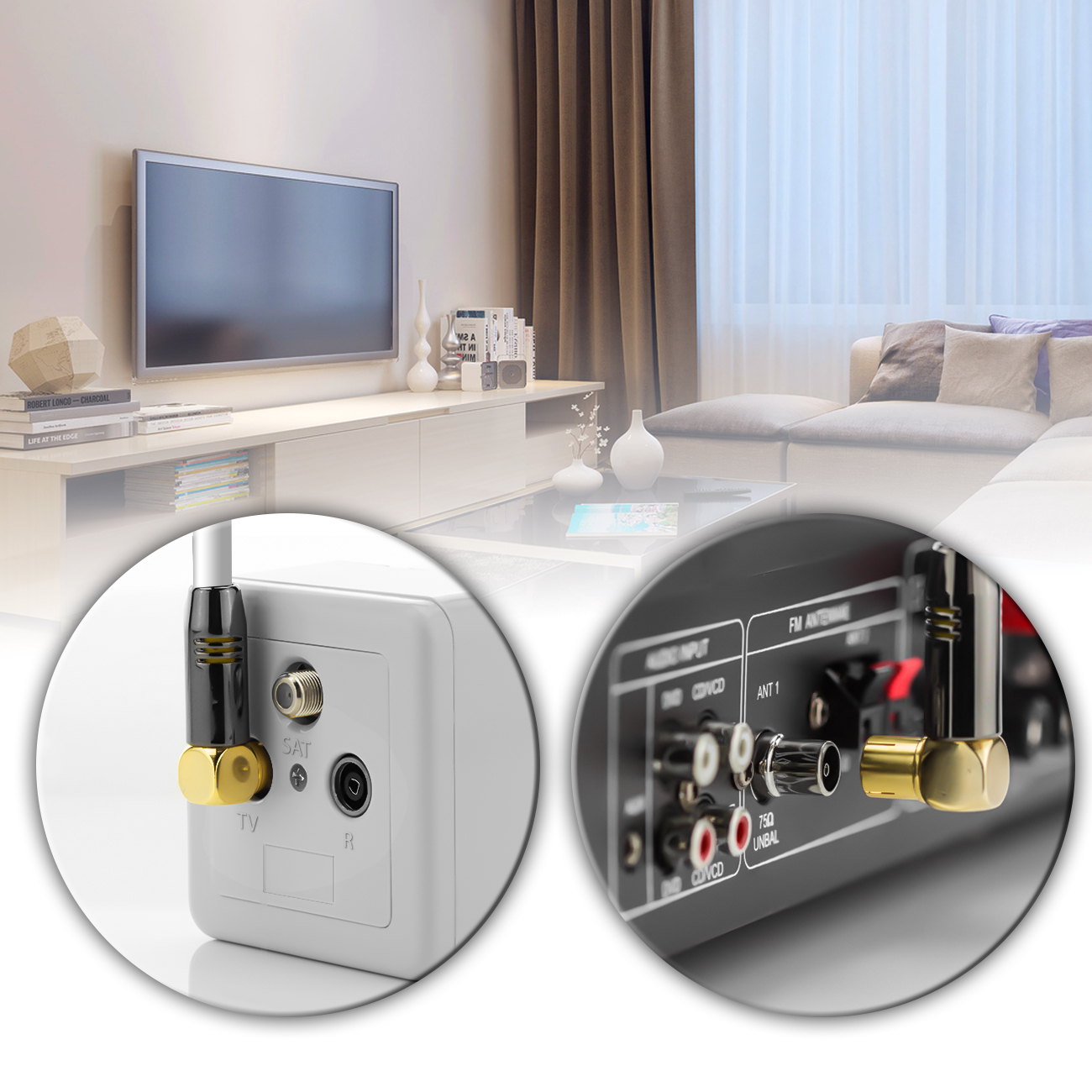 Pannello posteriore TV con connessioni cavo coassiale, vista ravvicinata delle porte.