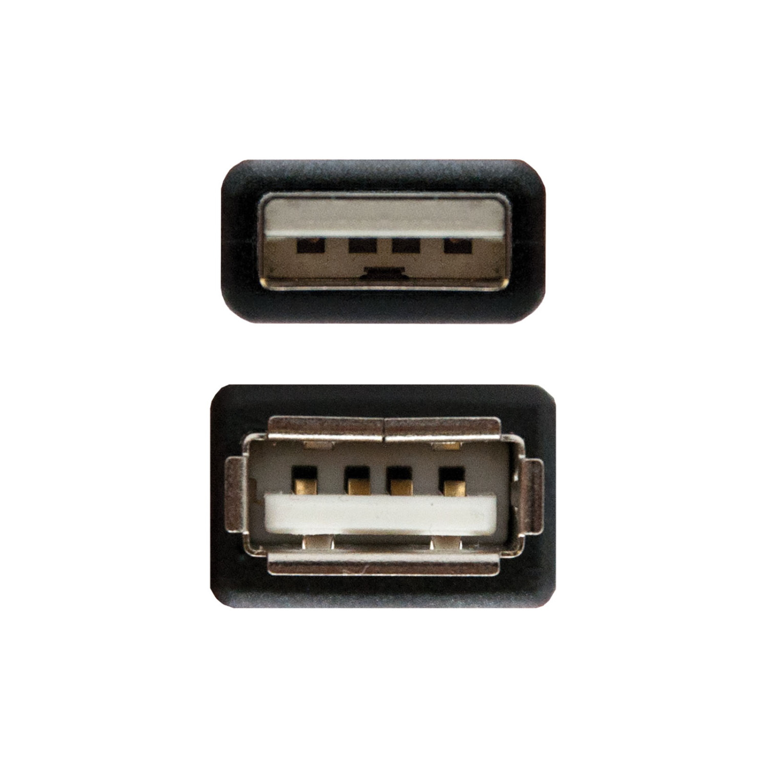 Primo piano dei connettori USB-A e USB-B, neri con contatti argentati, su sfondo bianco.