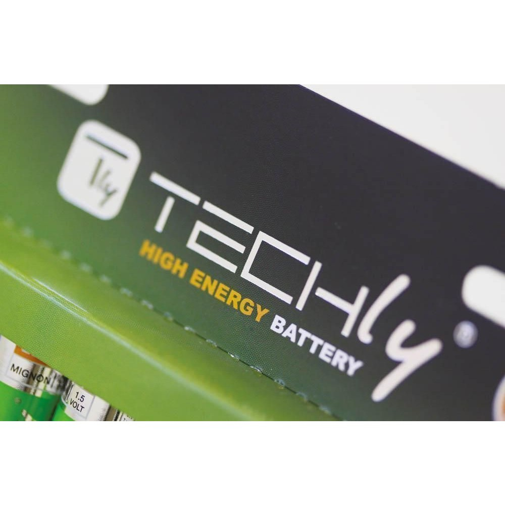 Primo piano della confezione della batteria Techly. Il logo e le parole 