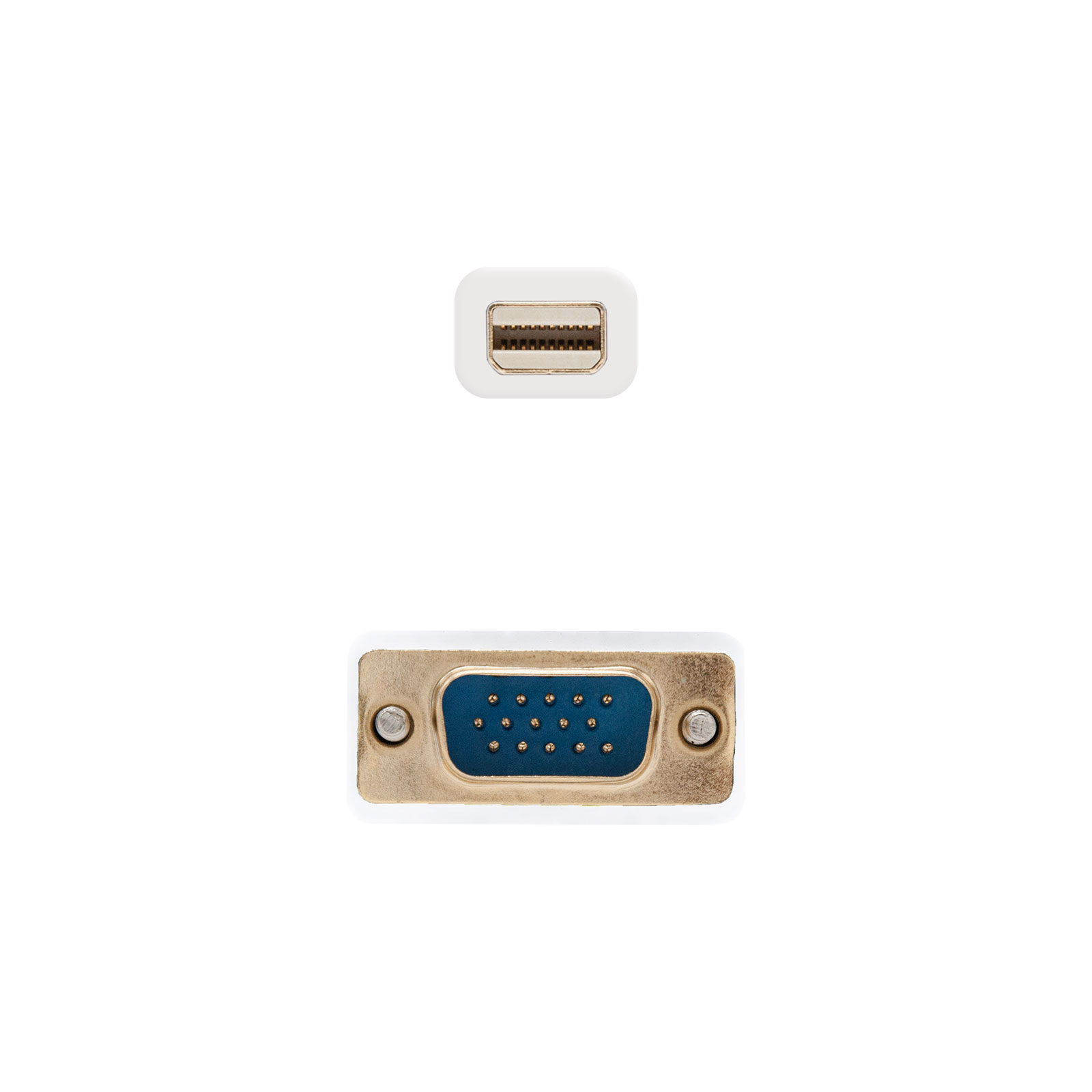 Conector Mini DisplayPort blanco sobre un conector VGA azul, ambos sobre fondo blanco.