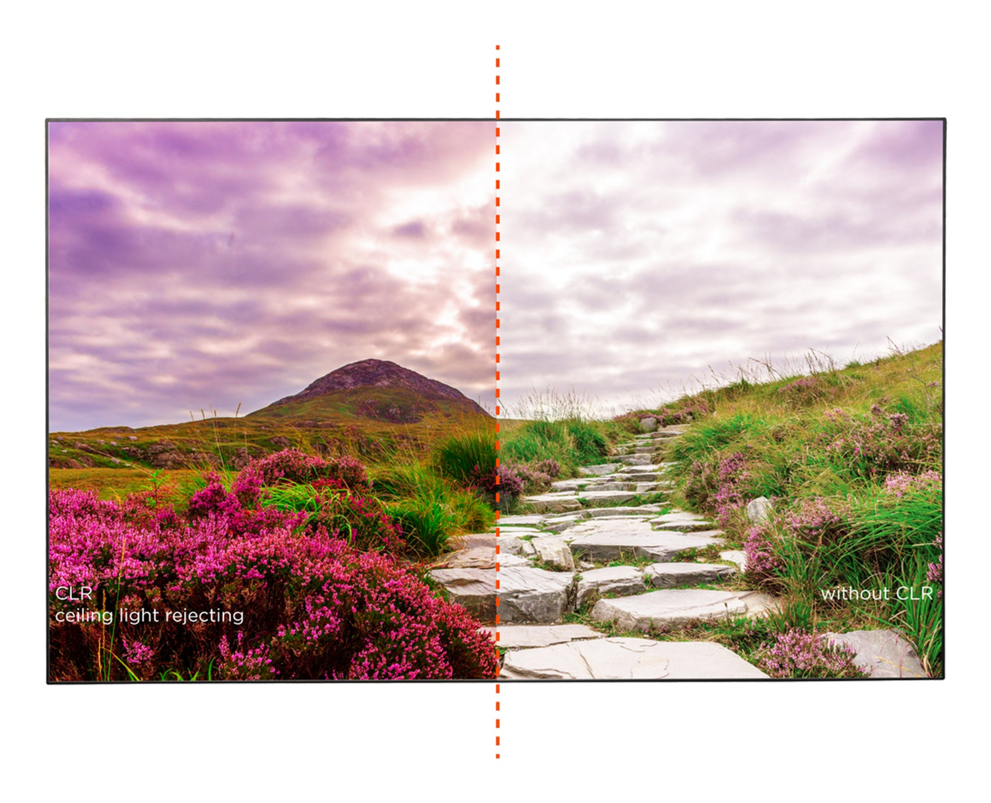 Geteiltes Bild: linke Seite zeigt lila Landschaft. Rechts ähnliche, aber natürliche Farben.