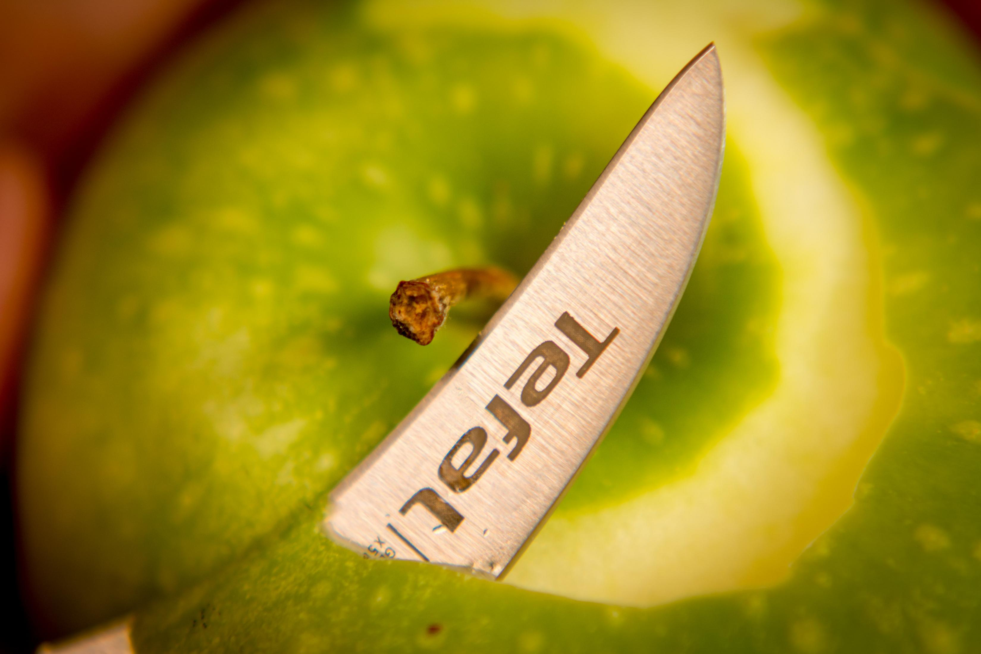 Nóż z napisem 'Tefal' na ostrzu kroi zielone jabłko.