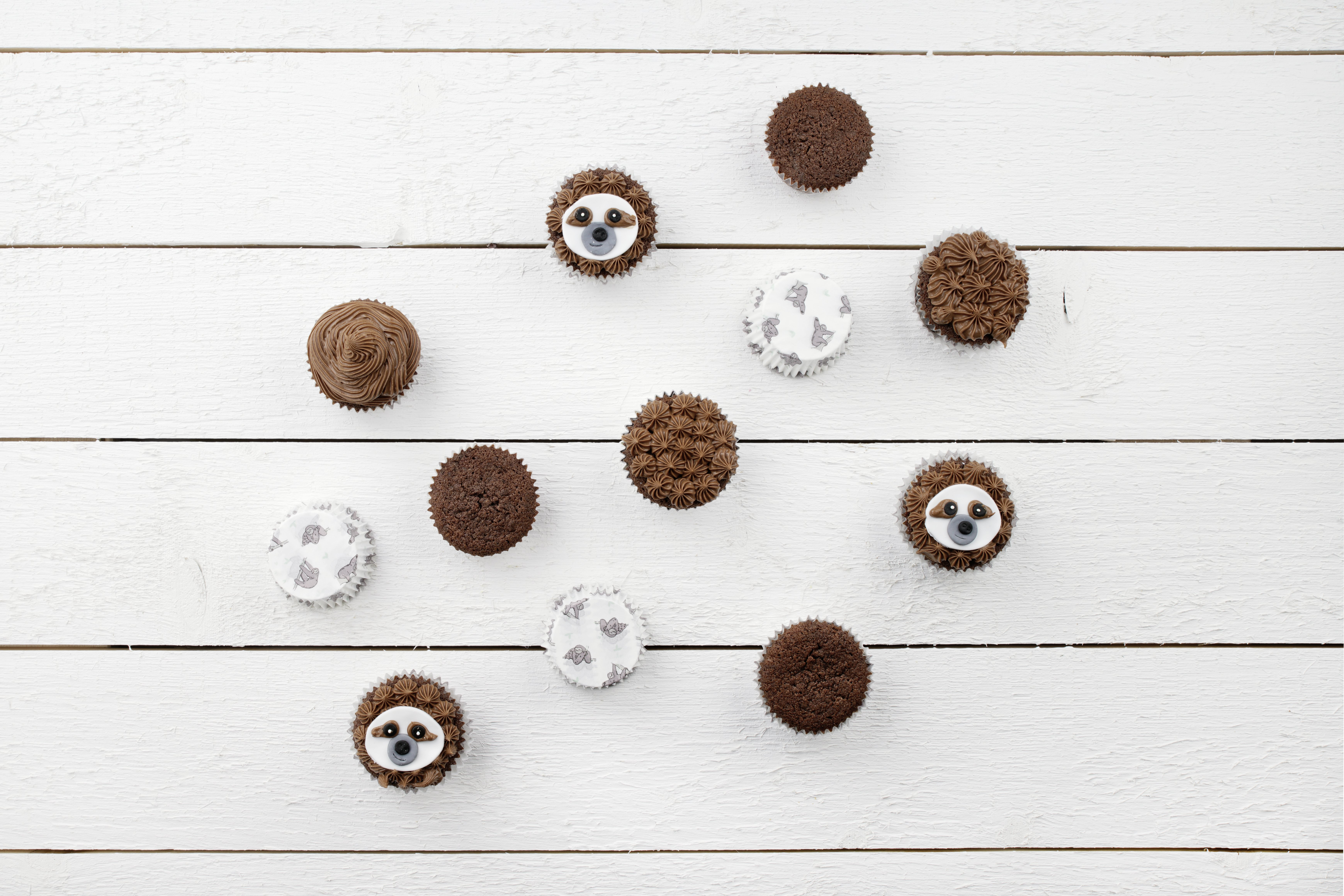 Draufsicht auf Cupcakes mit Schokoladenfrosting und Faultiergesichtern auf weißer Holzoberfläche.