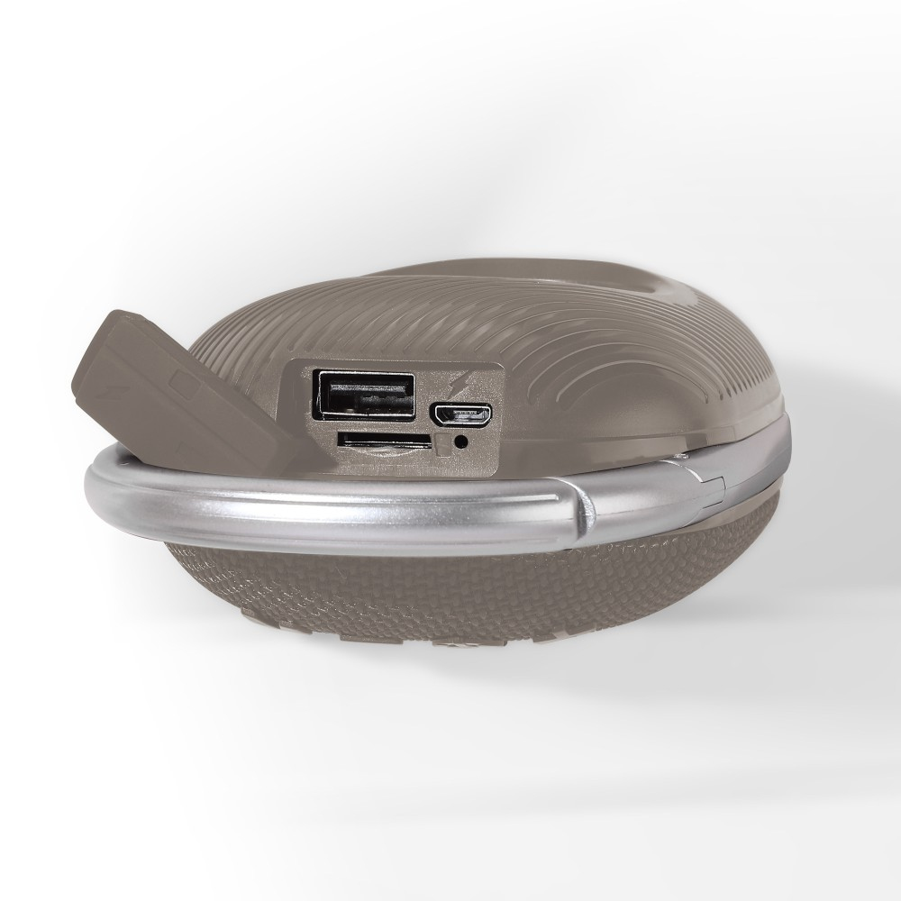 Taupe speaker met zilveren ring. USB-, SD- en micro-USB-poorten. Witte achtergrond.