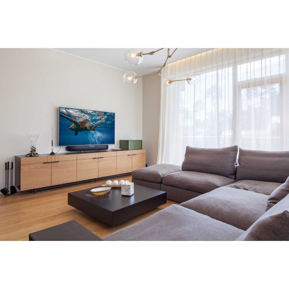 Salon z telewizorem, sofą i stolikiem kawowym. Telewizor pokazuje żółwia morskiego.