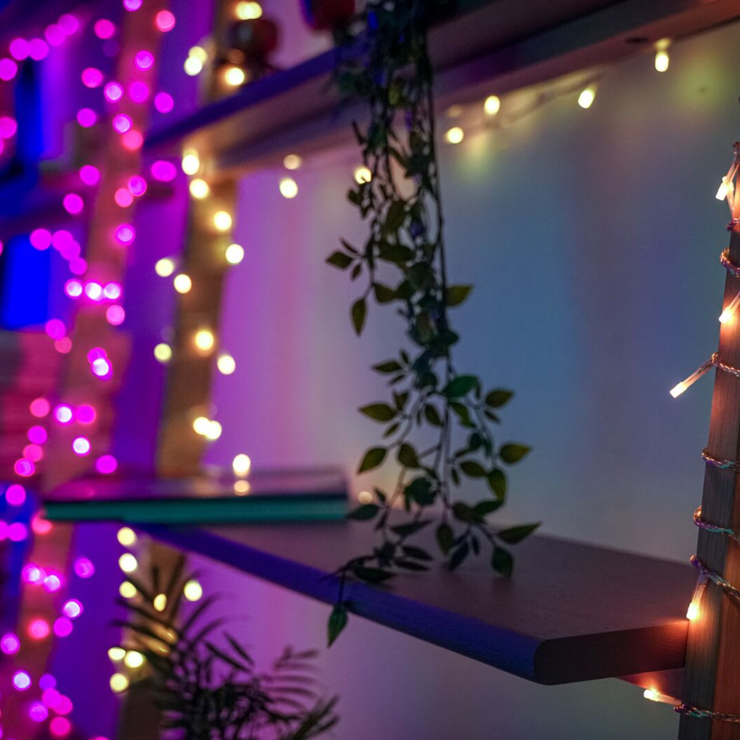 Półka ze światłami i wiszącymi liśćmi. Światła są różowe i białe.