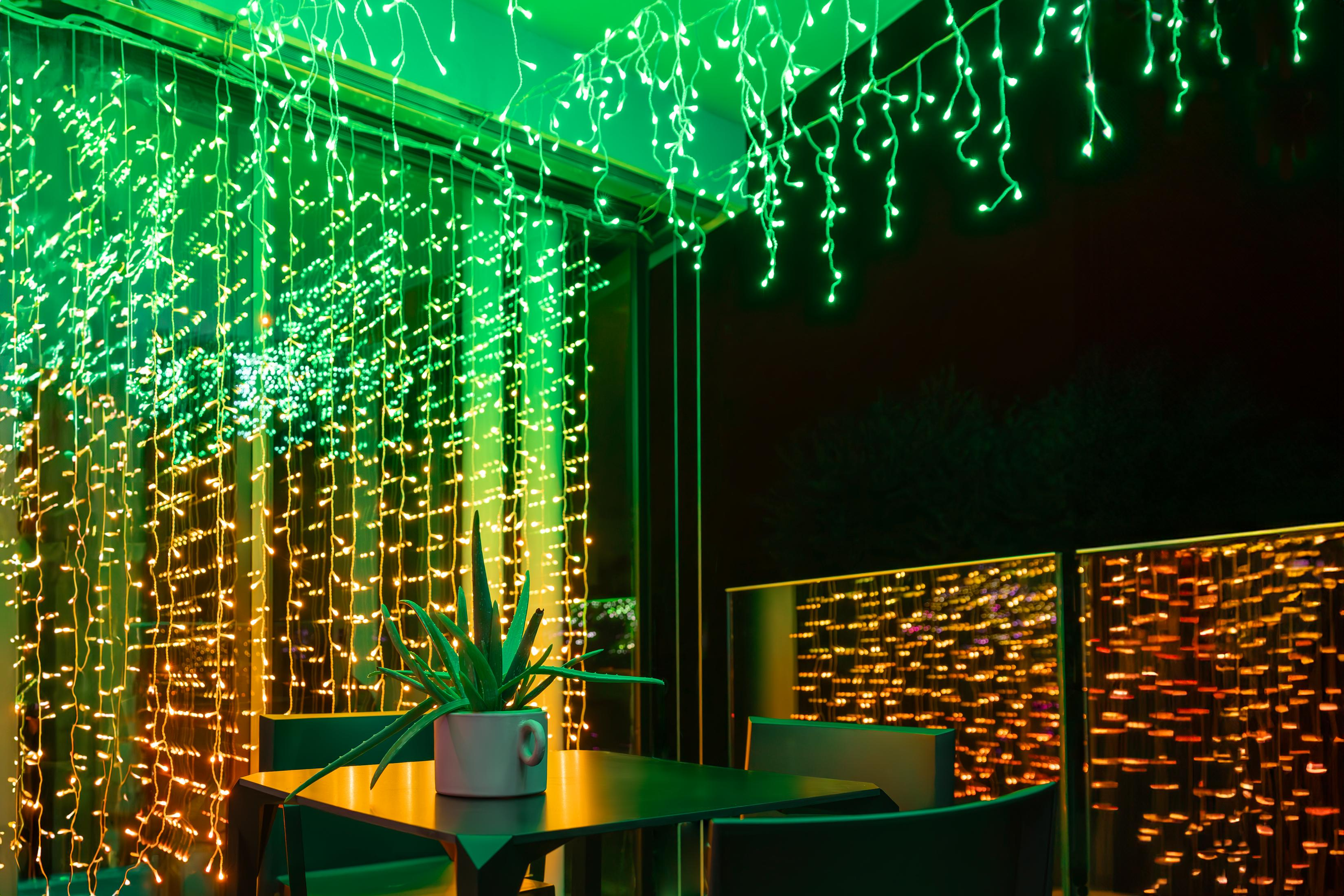 Zielone i pomarańczowe lampki choinkowe wiszące na balkonie z rośliną.