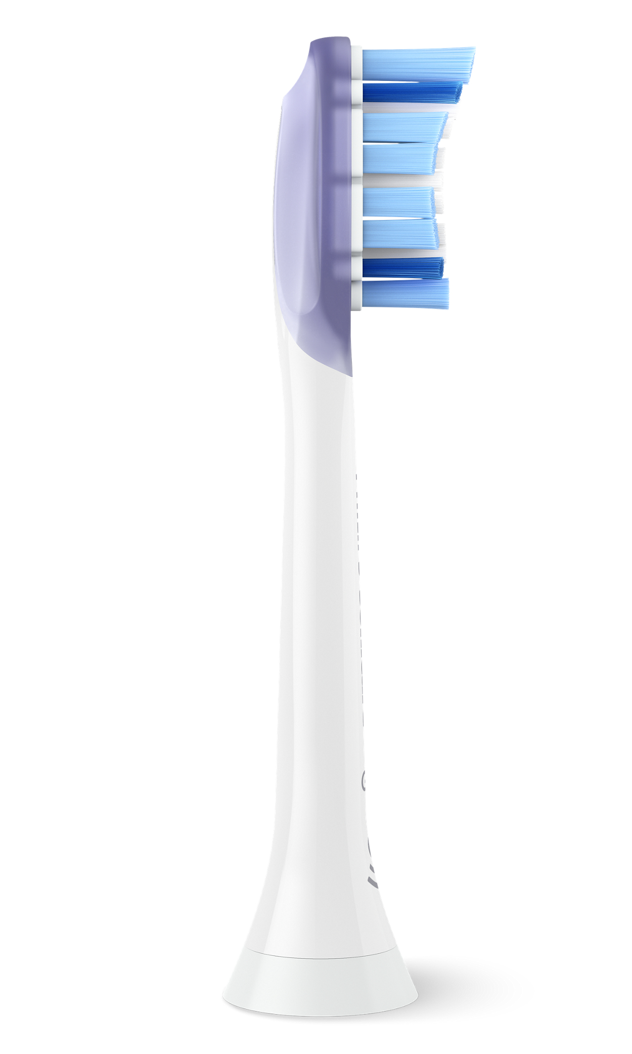 Philips Sonicare G3 toothbrush head. White handle and blue and white bristles.
