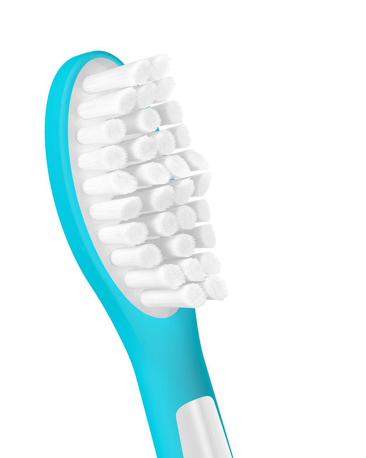 Primo piano di una testina Philips Sonicare. Le setole sono bianche e dense.