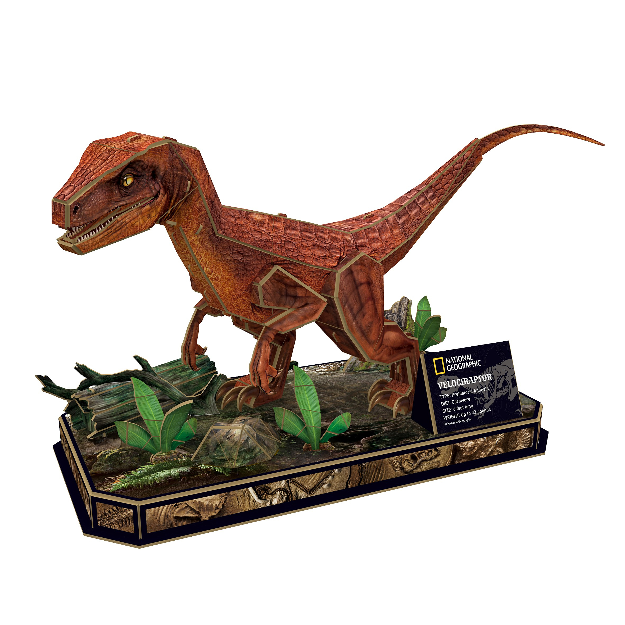 3D National Geographic Velociraptor puzzle on a display stand with foliage.