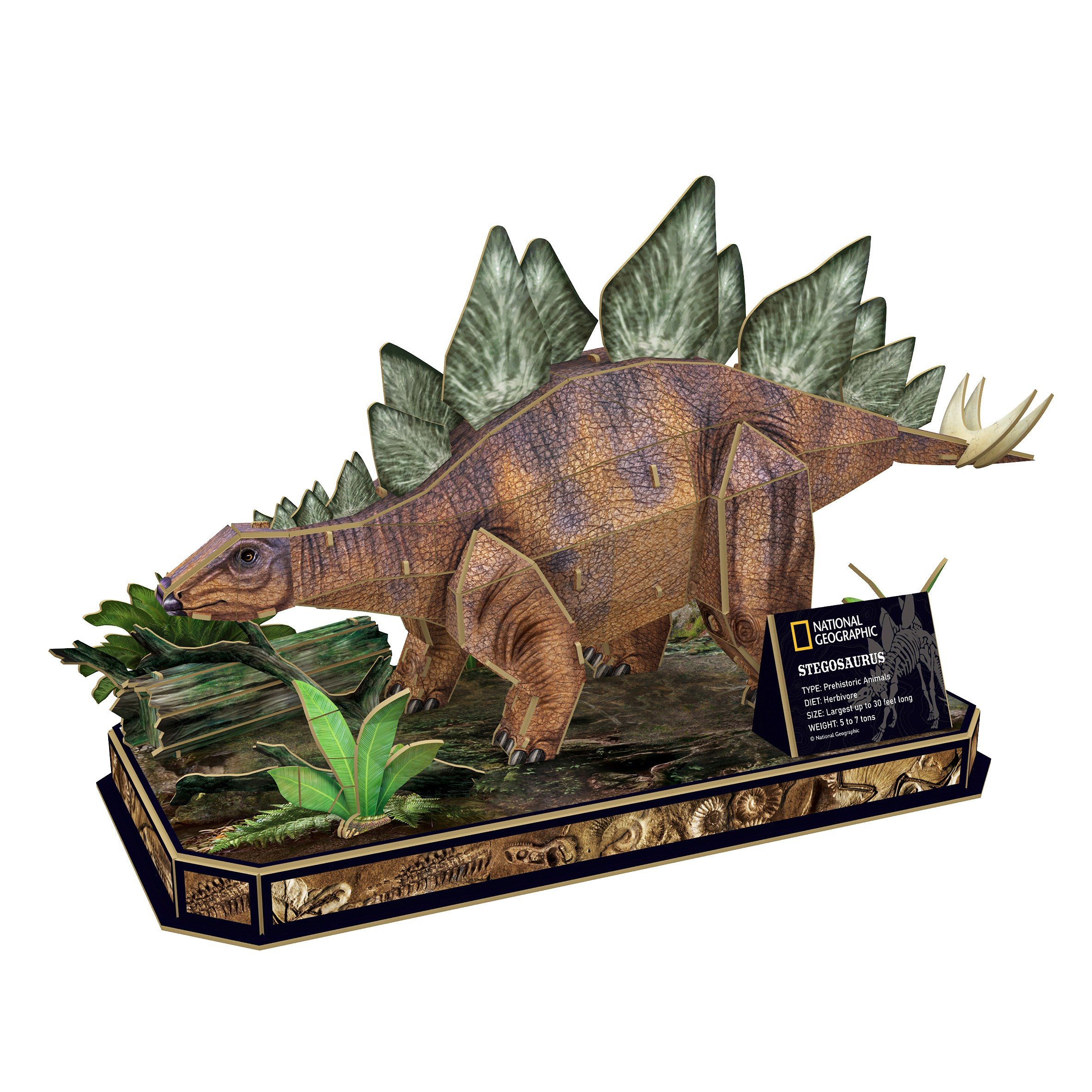 3D Stegosaurus dinosaurusmodel op een basis met planten en fossielen. Witte achtergrond.