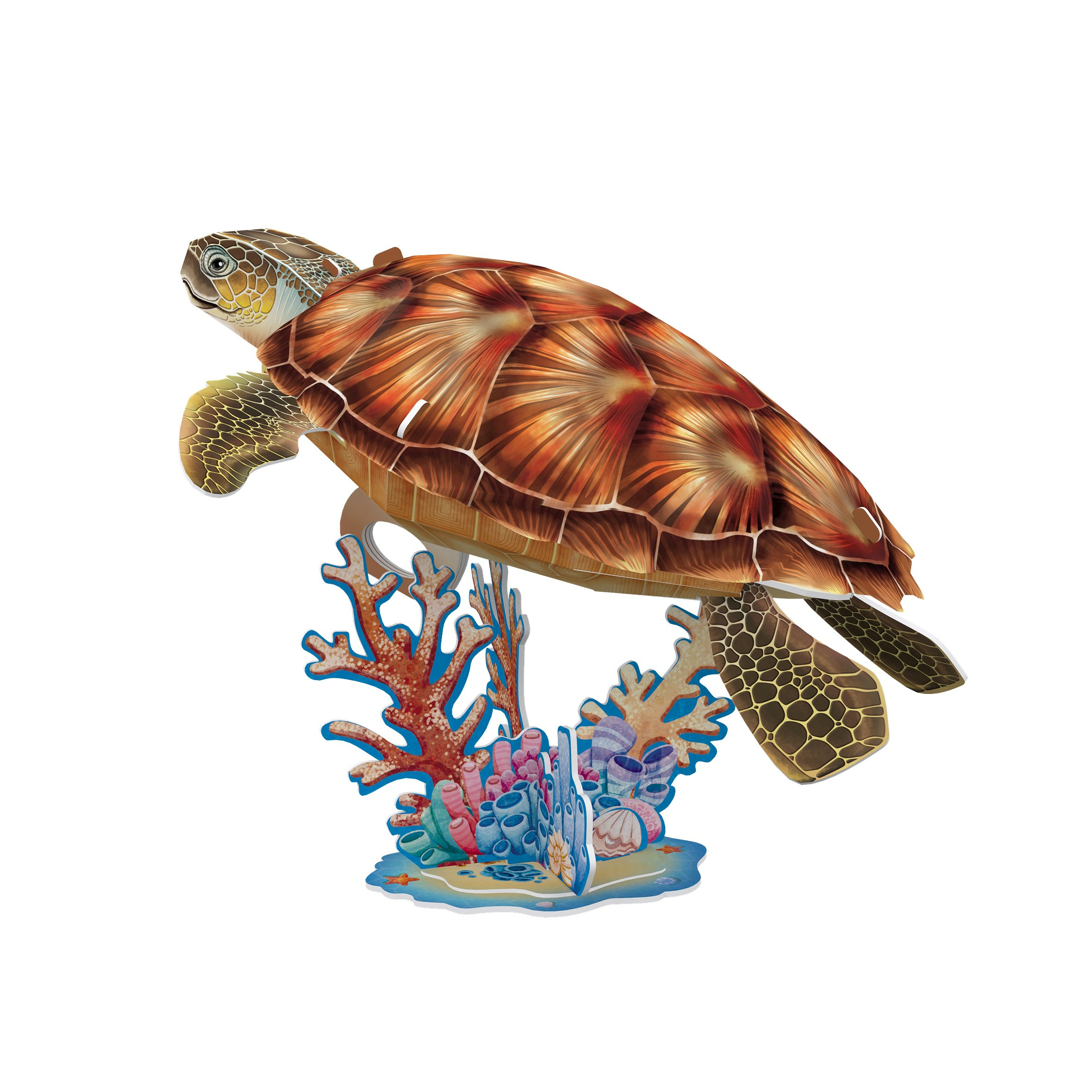 3D sea turtle puzzle showing a brown sea turtle above a colorful coral reef.