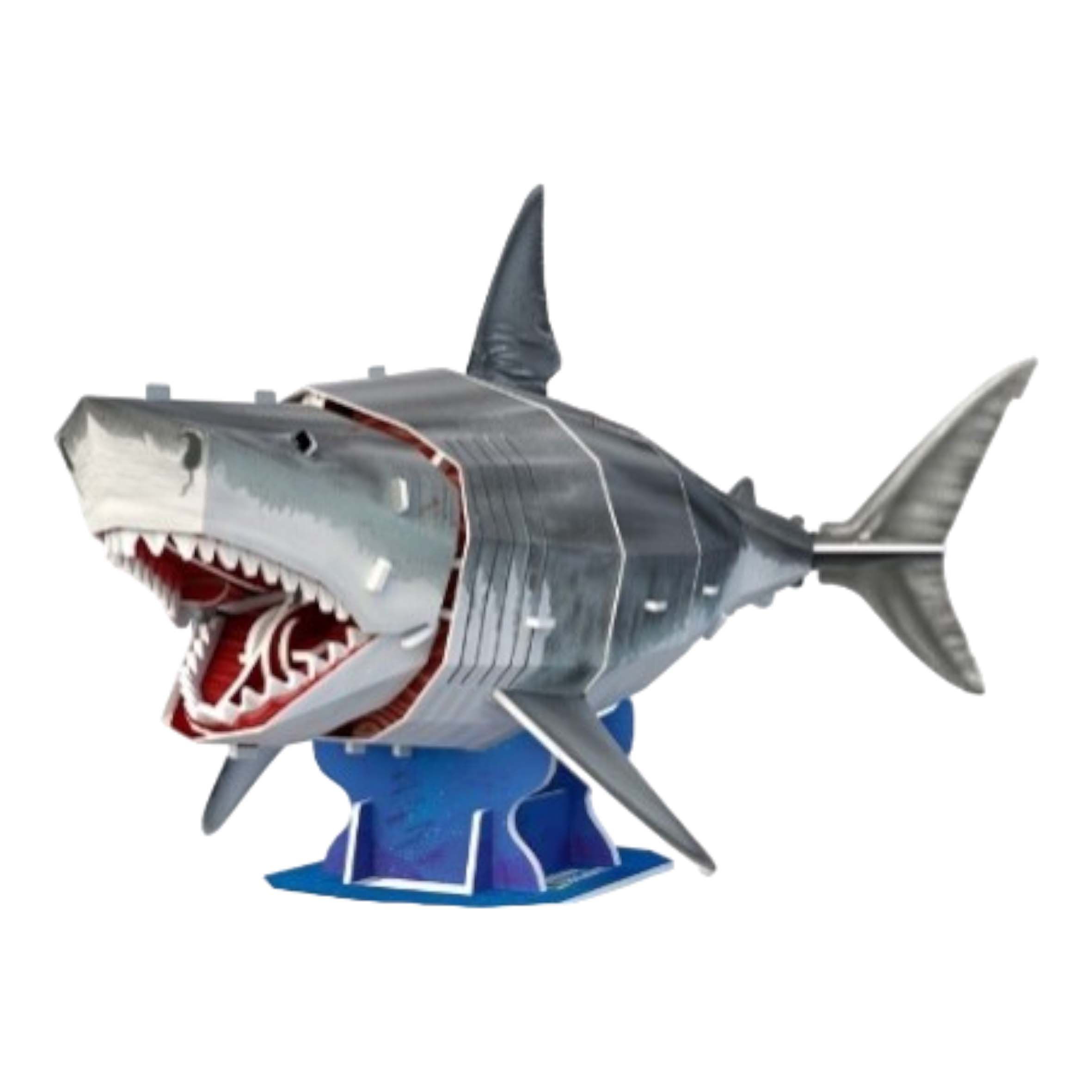 Un modello di puzzle di squalo 3D con bocca aperta, su un supporto blu su sfondo bianco.