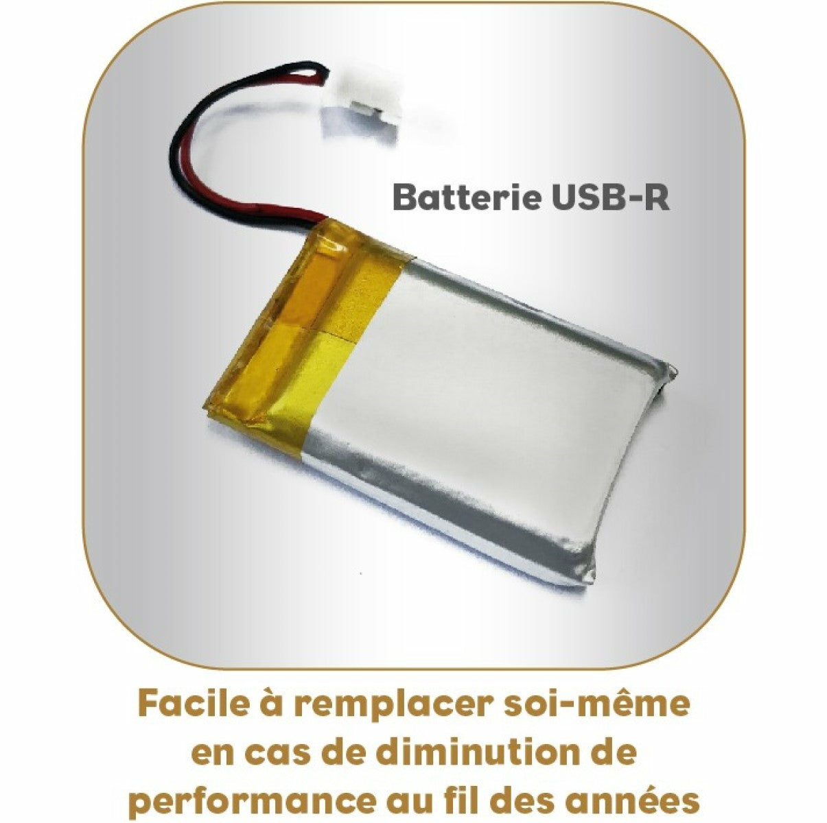 Akku mit Text, der besagt, dass er einfach zu ersetzen ist, und USB-R. In silbernem Rahmen.