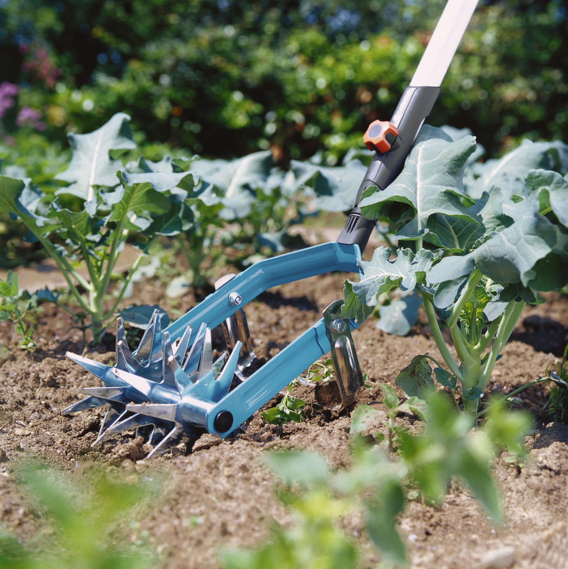 Narzędzie ogrodnicze w glebie, otoczone roślinami. Narzędzie ma niebieski uchwyt i ostrza.