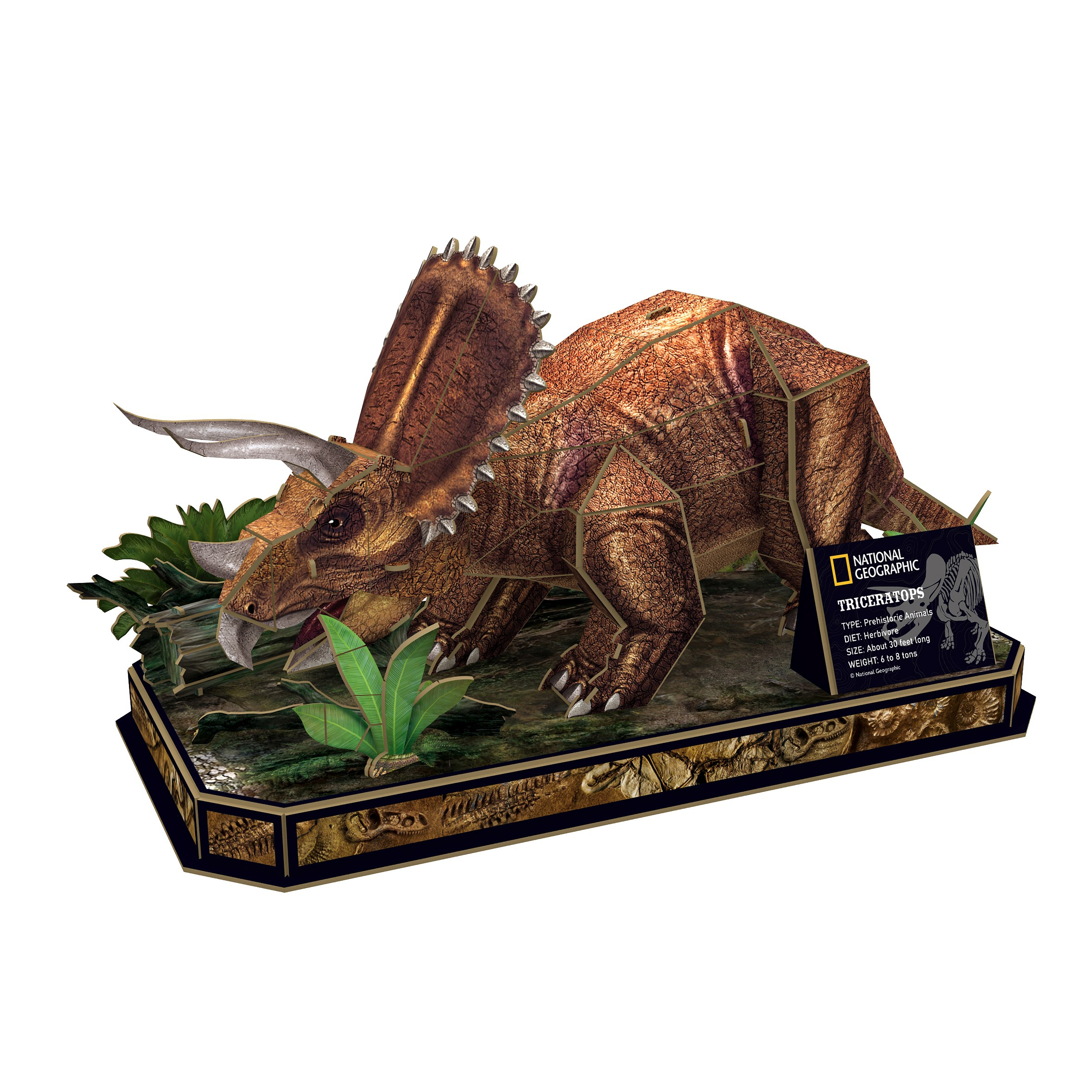 Modèle de Tricératops, marron, avec des plantes, sur une base, fond blanc.