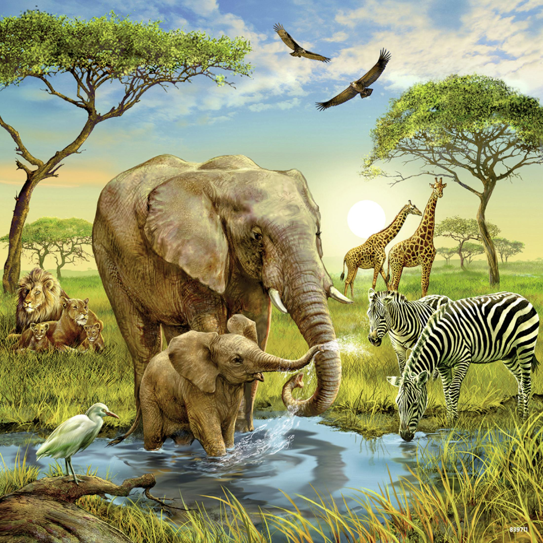 Scena della savana africana con un elefante, giraffe, zebre, leoni e uccelli vicino all'acqua.