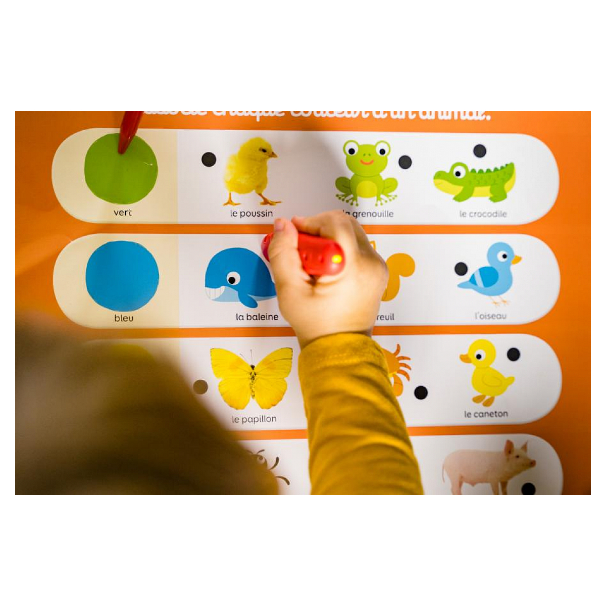 Dłoń dziecka wskazująca na kolorową tablicę edukacyjną. Przedstawiono zwierzęta i kolory.