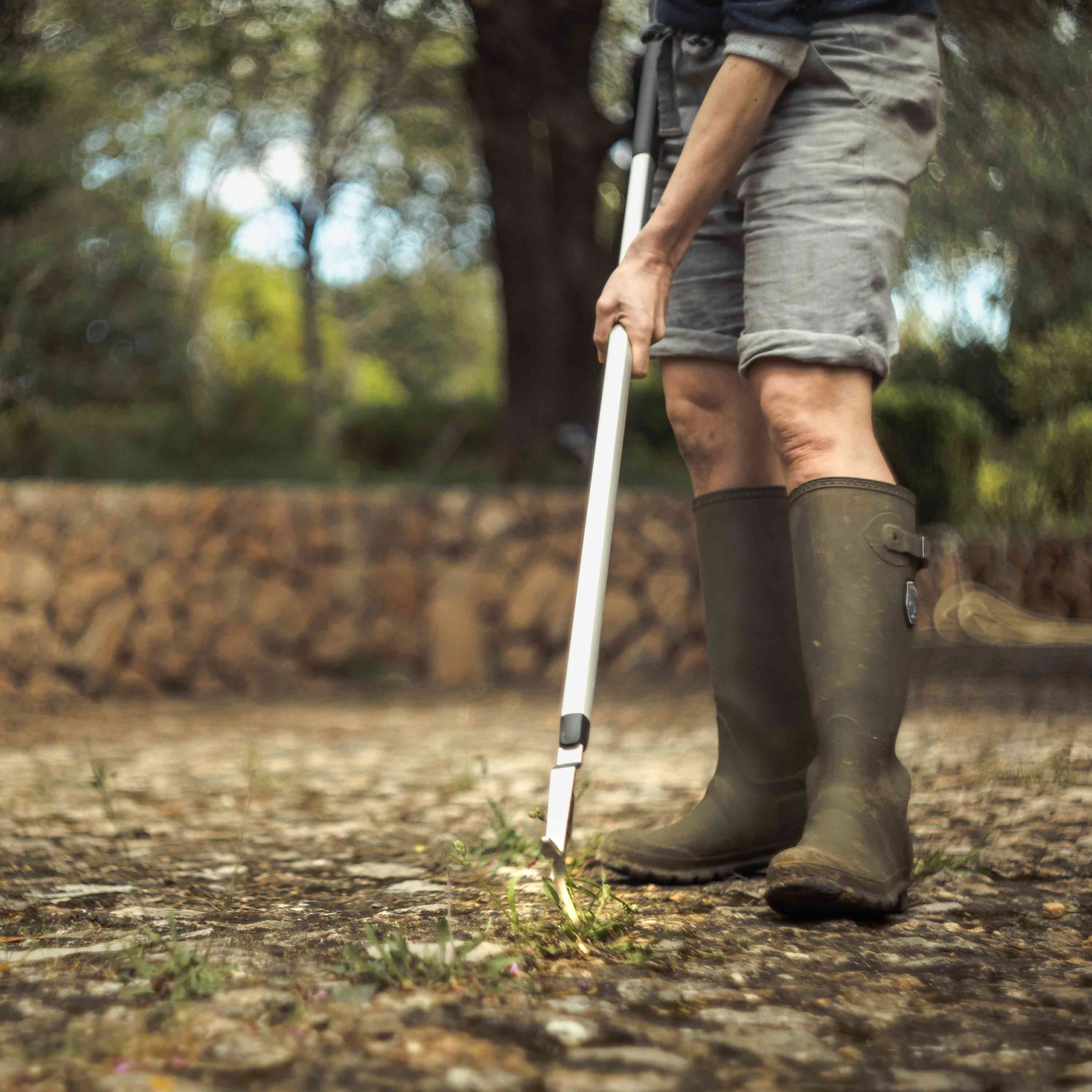 Osoba w butach i szortach, trzymająca narzędzie ogrodnicze, w otoczeniu ogrodu.