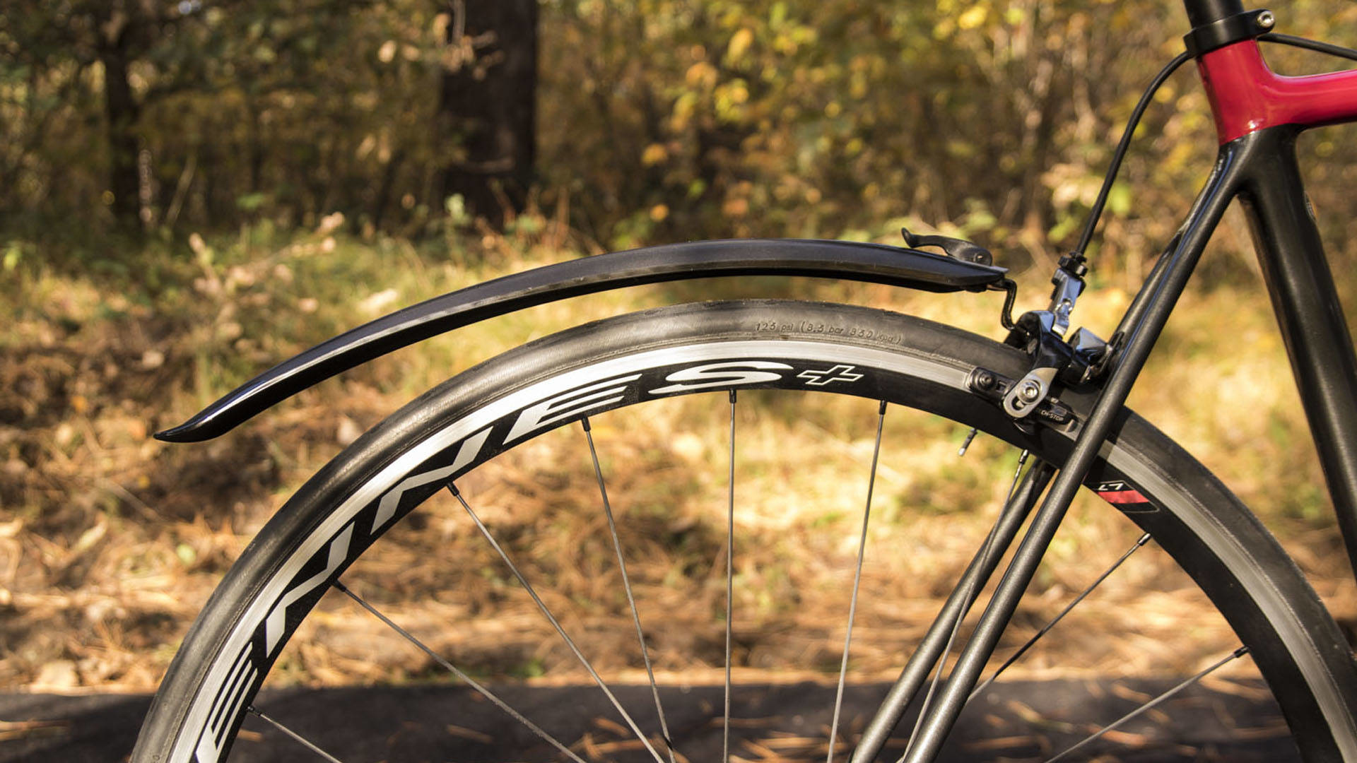 Opona rowerowa i błotnik przymocowane do przodu roweru. Tło to rozmyty las.