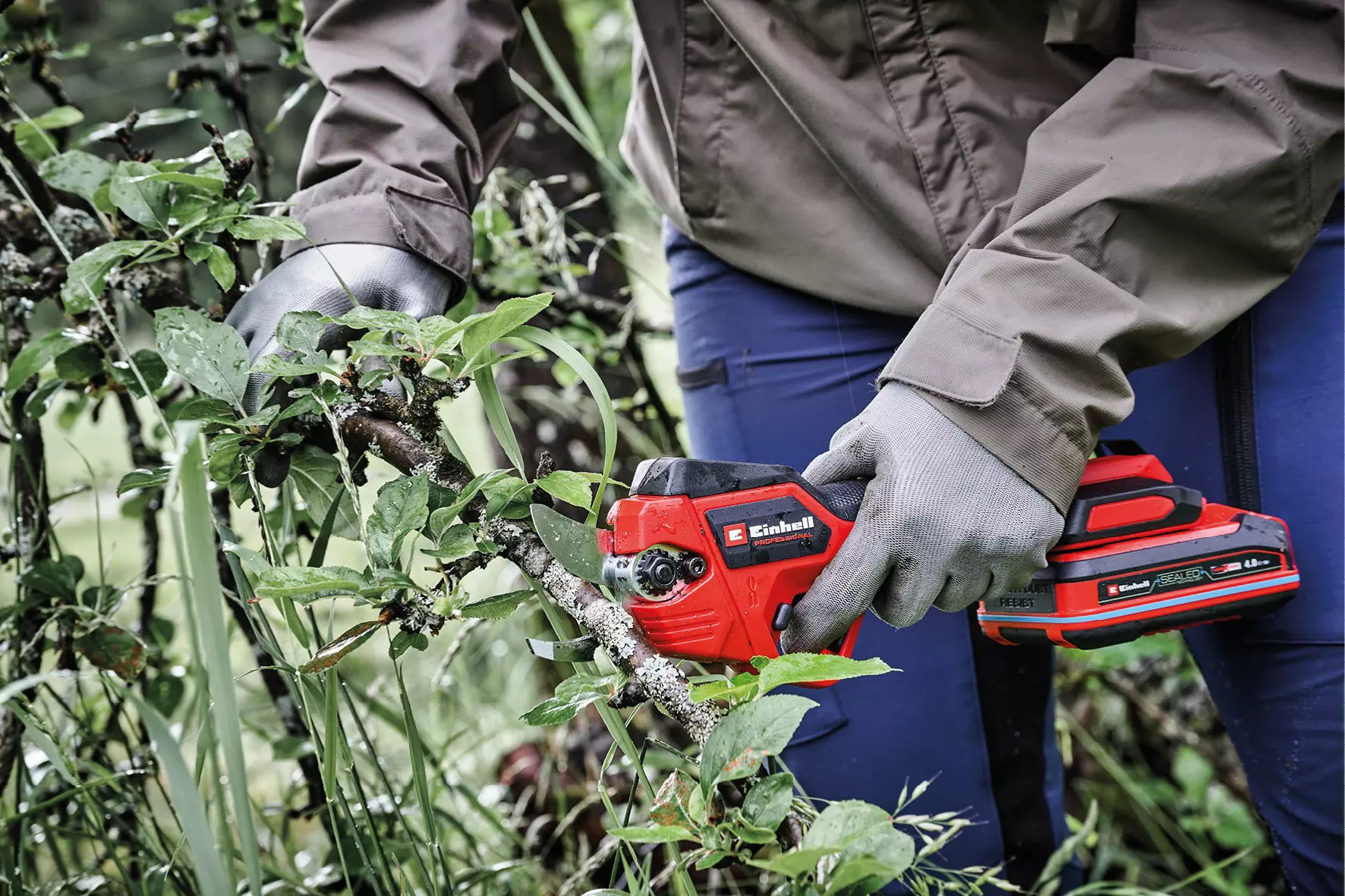 Osoba używająca czerwono-czarnego elektrycznego sekatora na gałęzi.