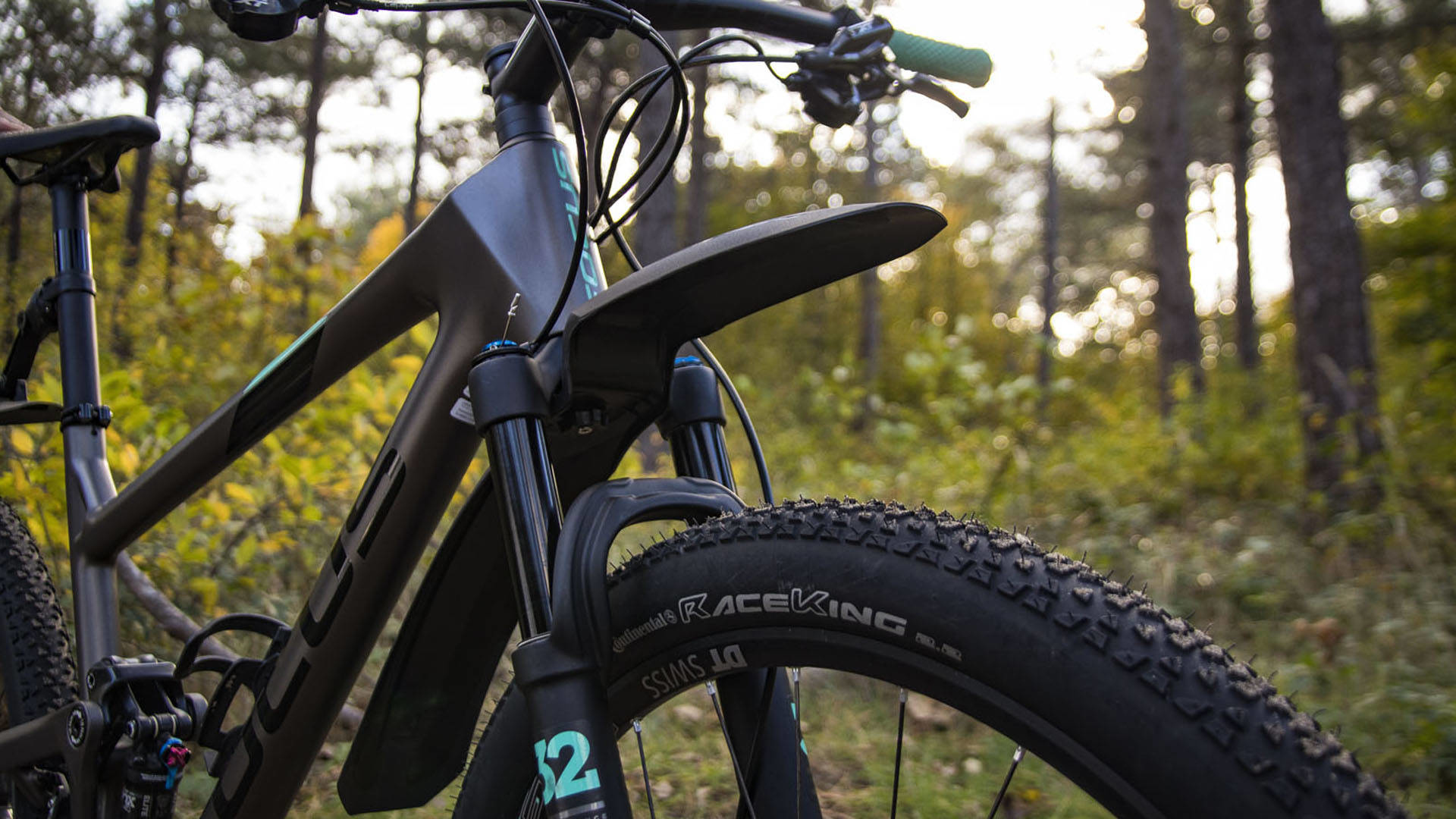 Zbliżenie przedniego koła i widelca roweru górskiego w lesie. Na oponie napis Race King.