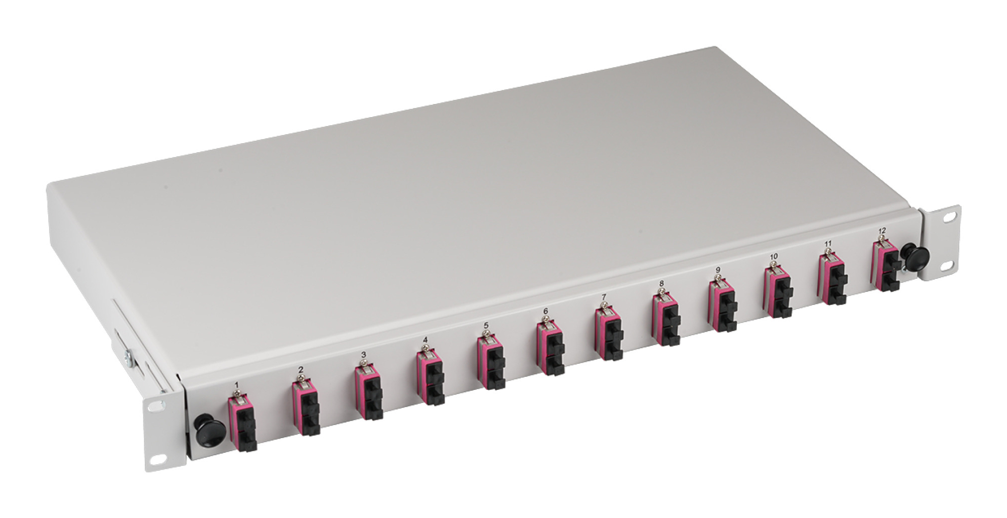 Un dispositivo grigio montabile su rack con più connettori rosa. Ha dodici porte.