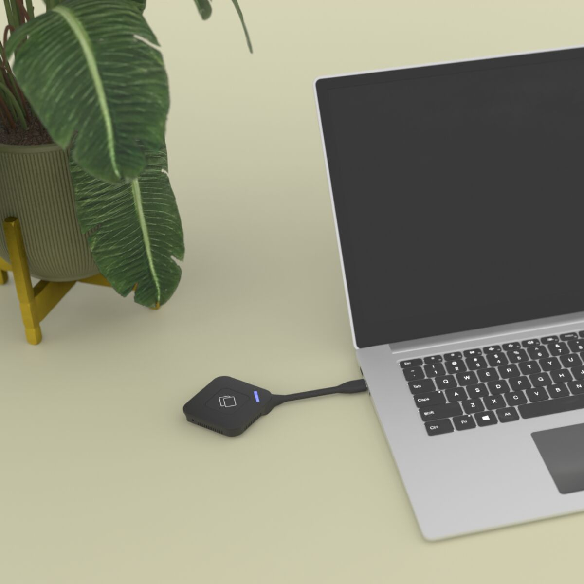 Un laptop collegato a un dispositivo nero con un cavo. A sinistra c'è una pianta verde in vaso.